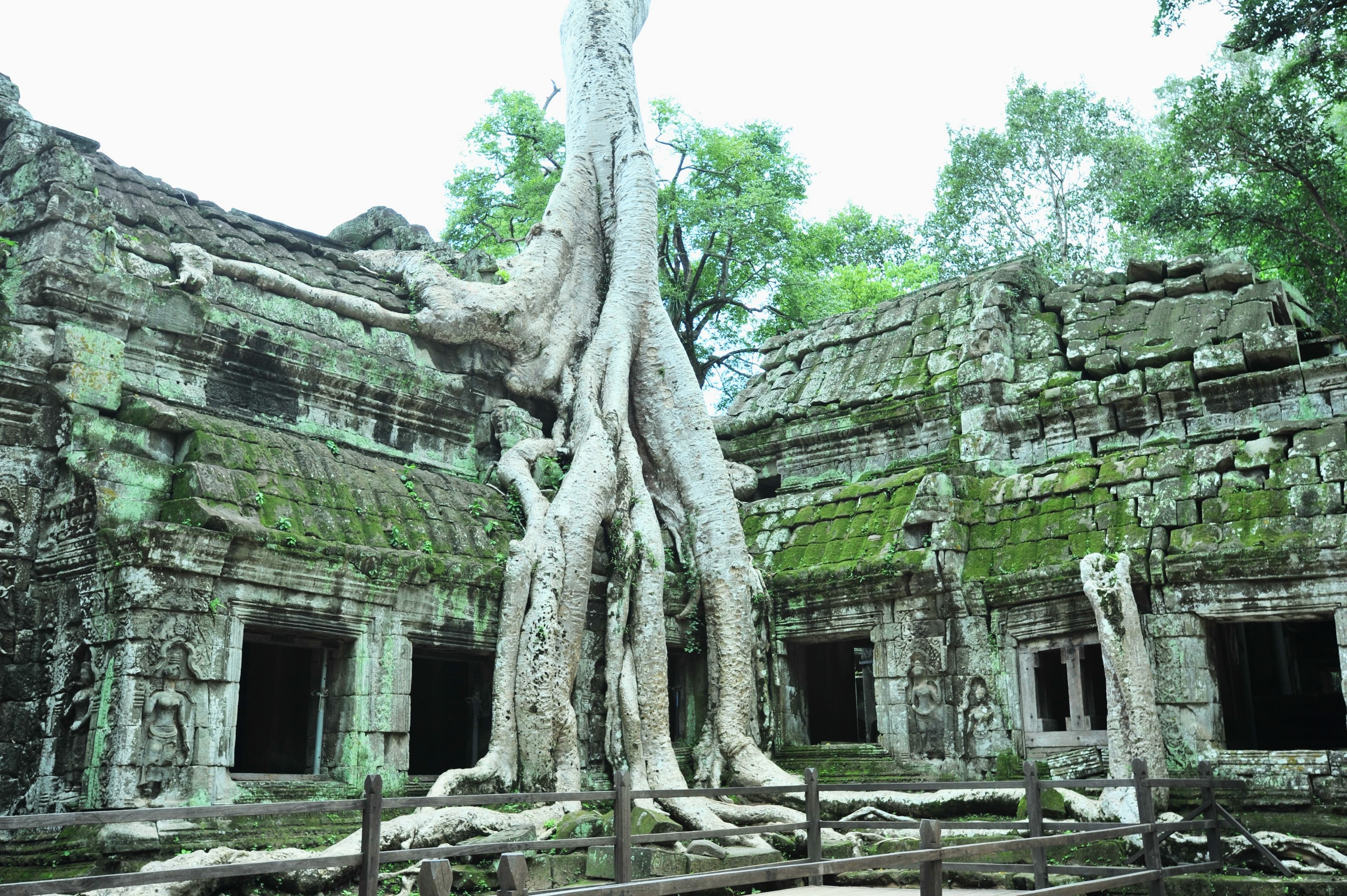 Travel photo 4