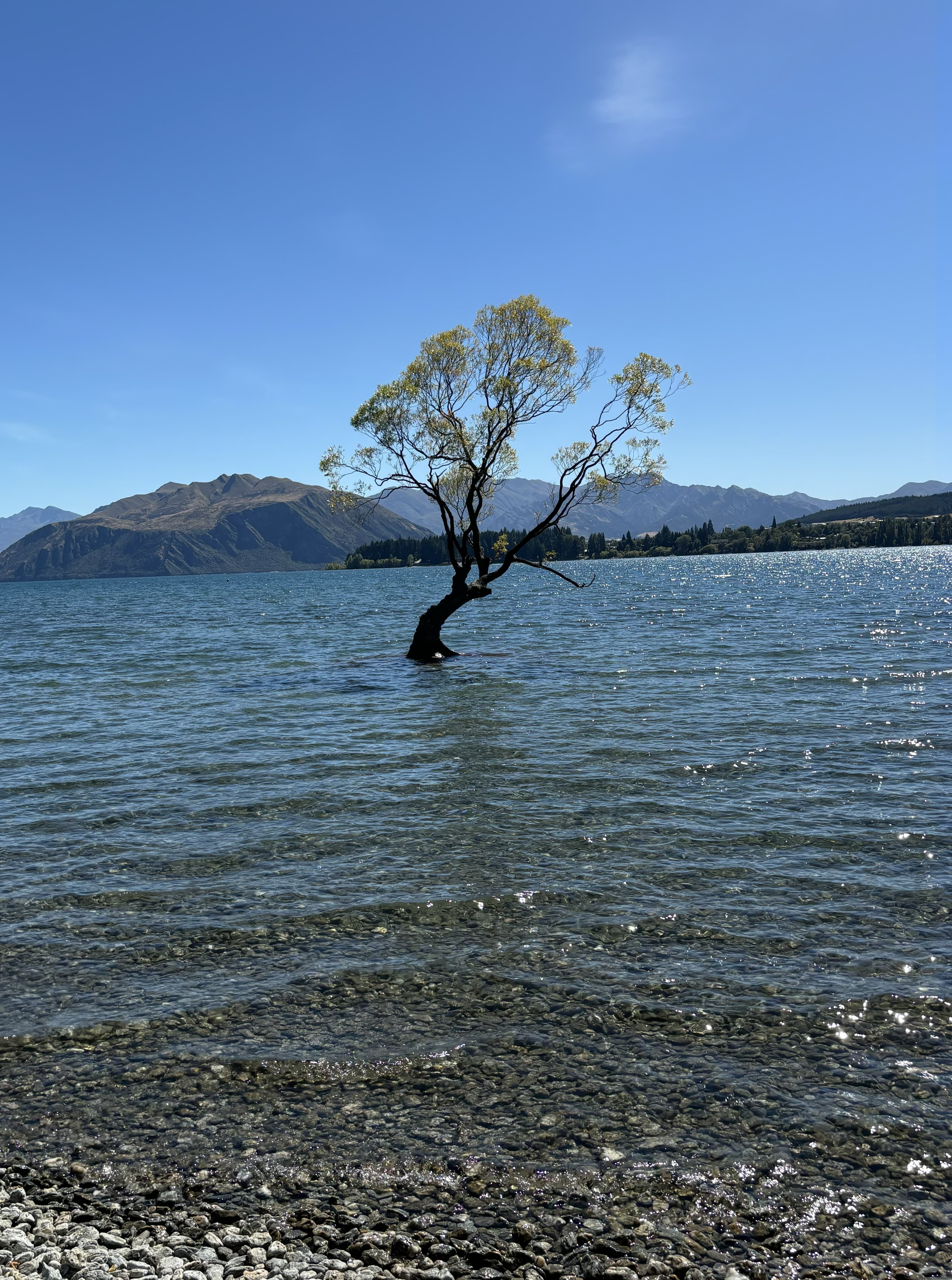 Travel photo 2