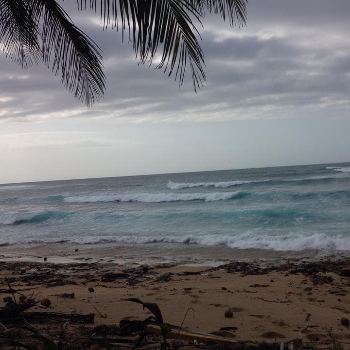 Travel photo 4