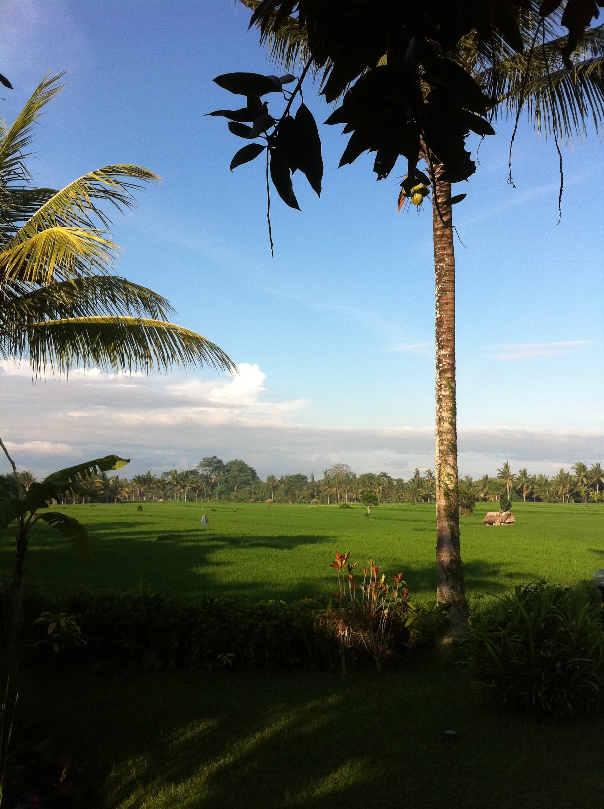 Travel photo 4
