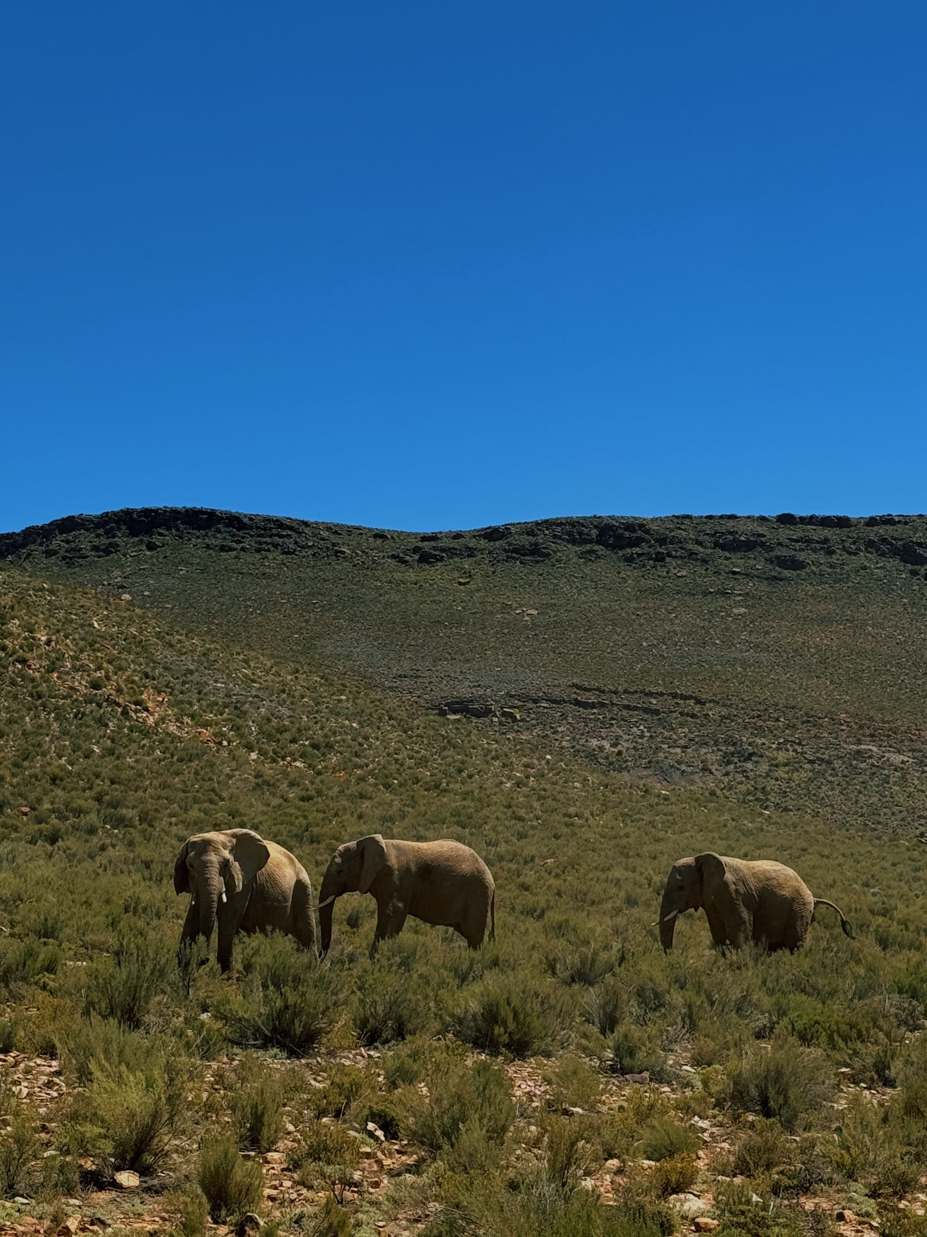Travel photo 7