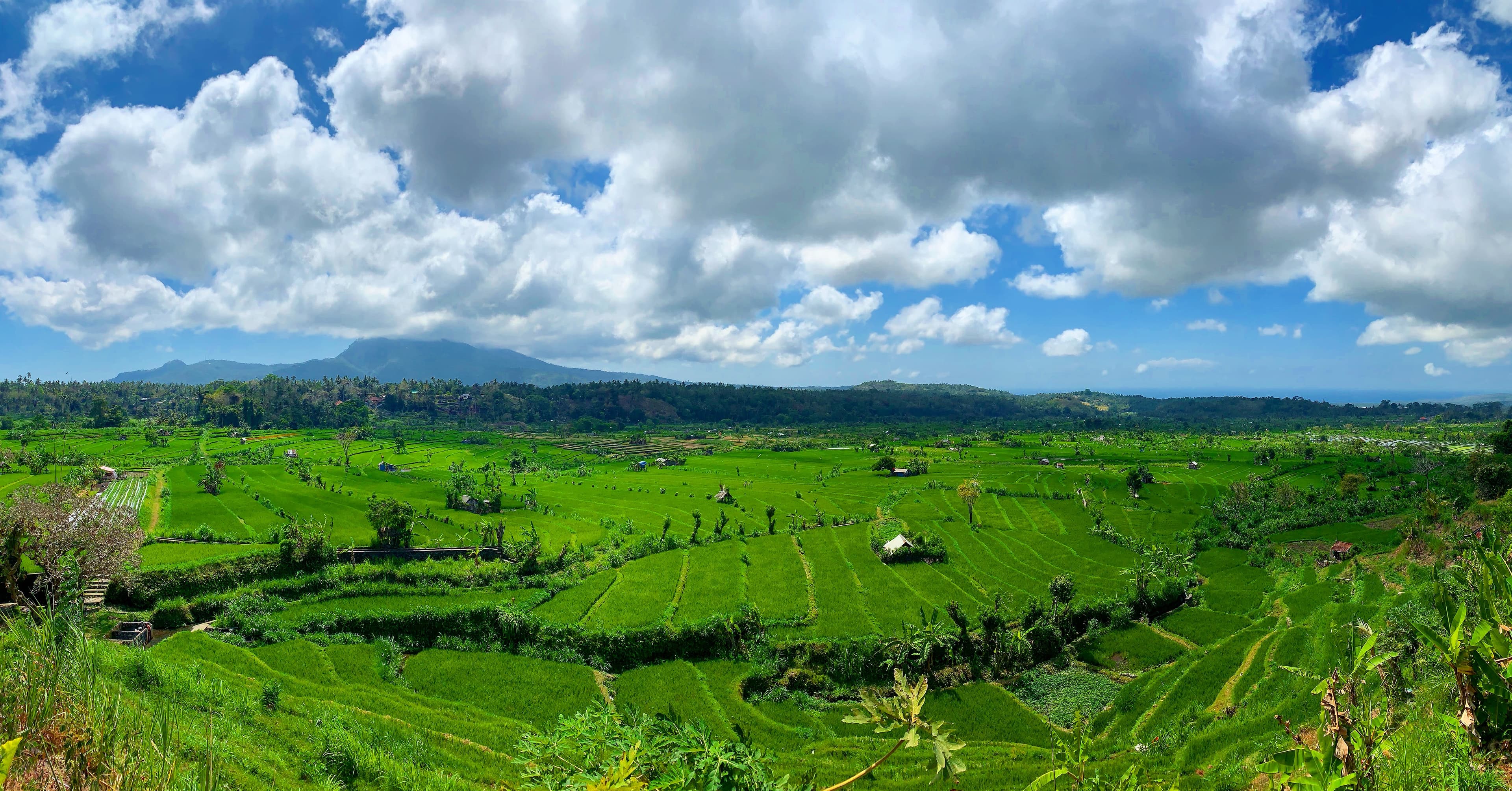 Travel photo 1