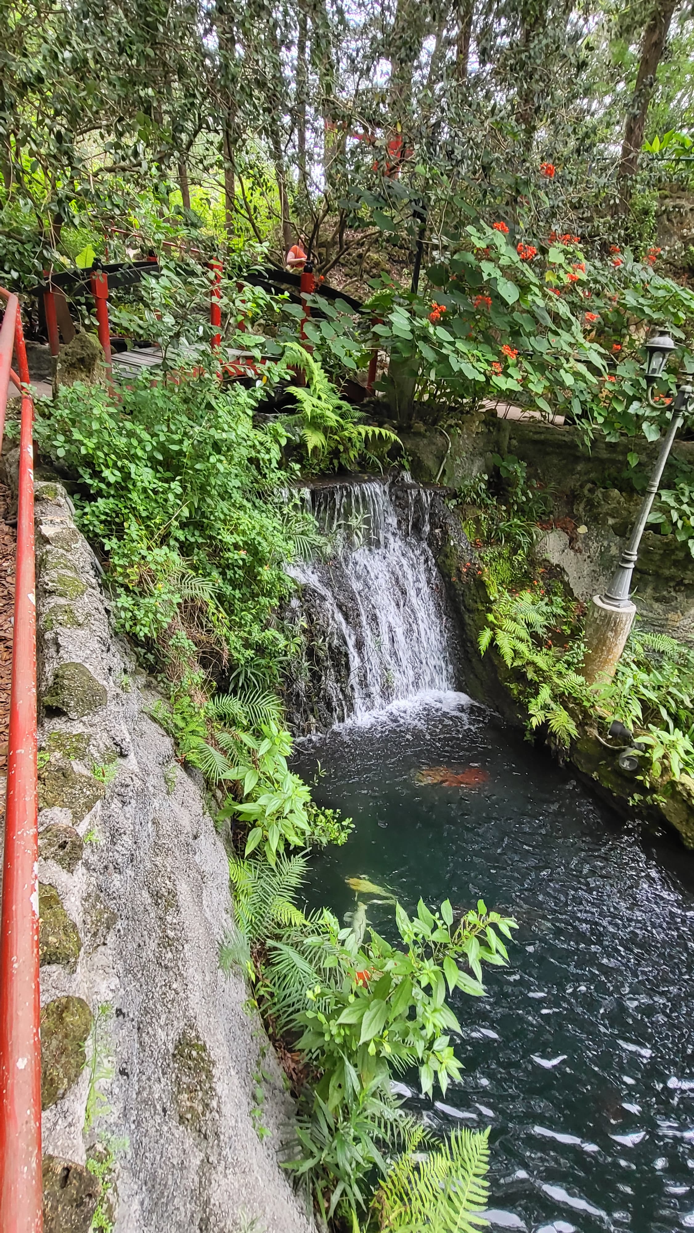 Travel photo 5
