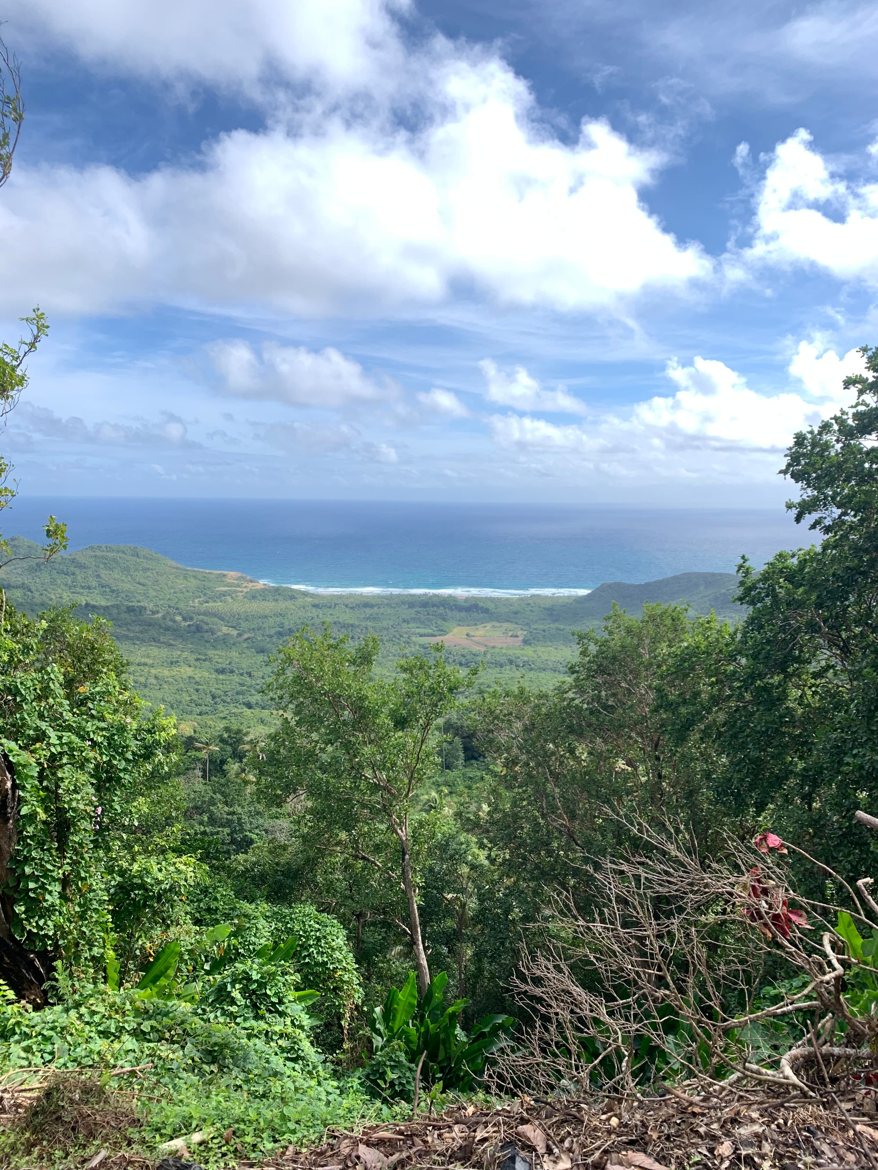 Travel photo 1