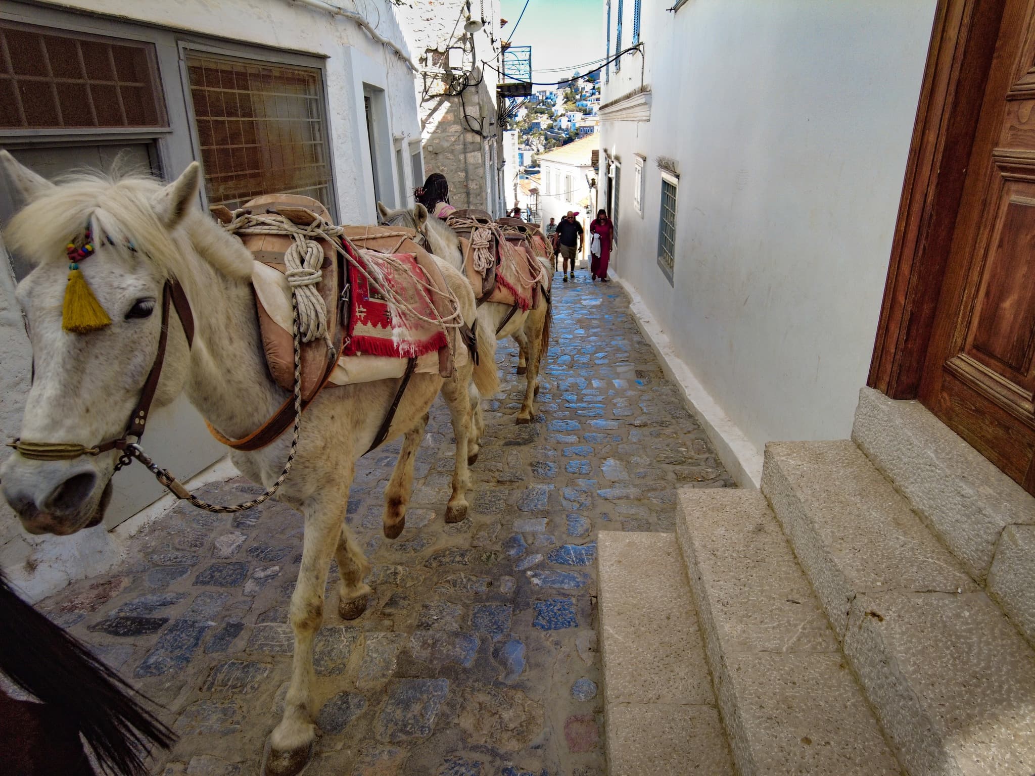 Travel photo 5