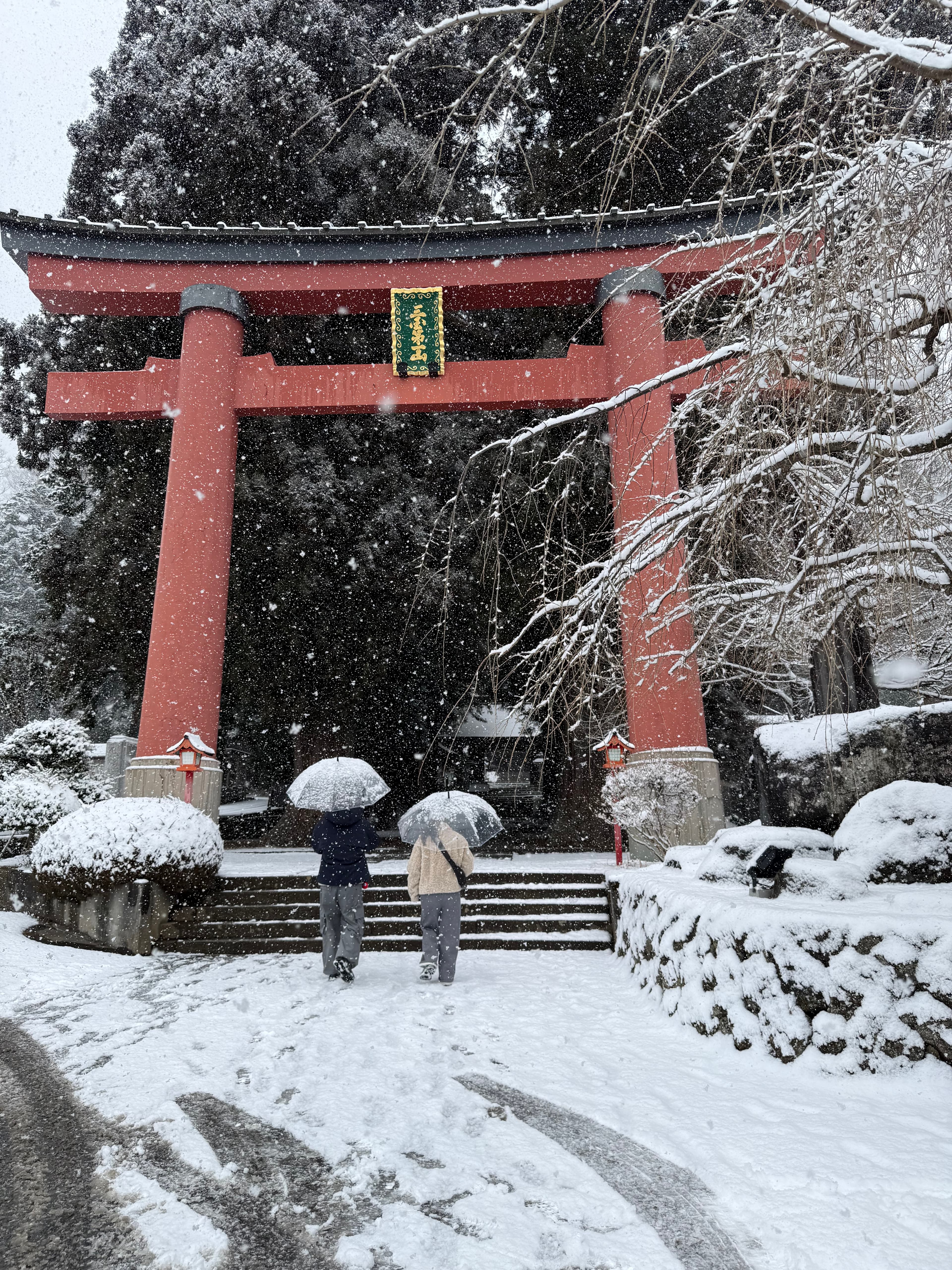 Travel photo 6