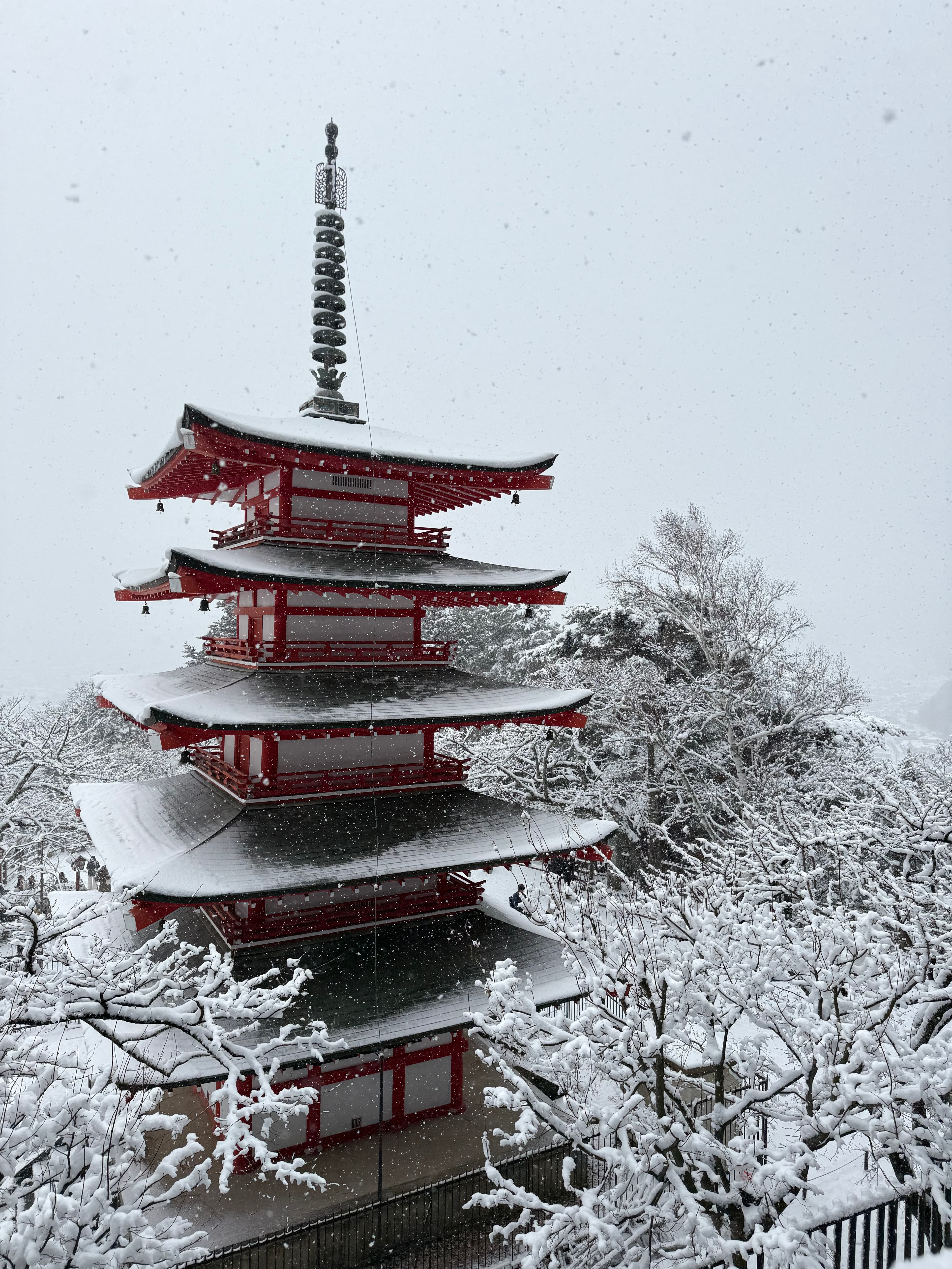 Travel photo 1