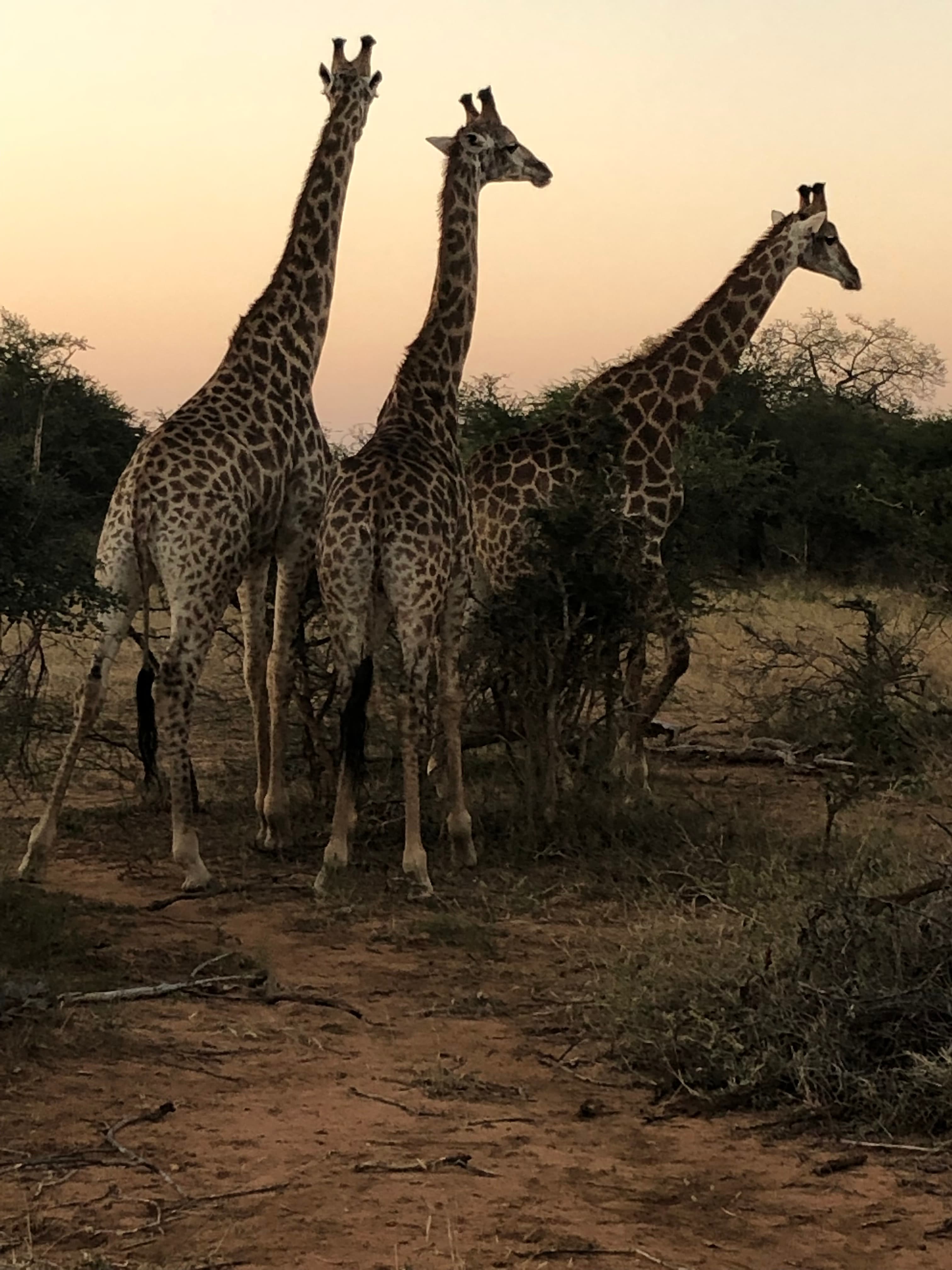 Travel photo 4