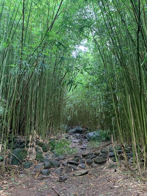Travel photo 8