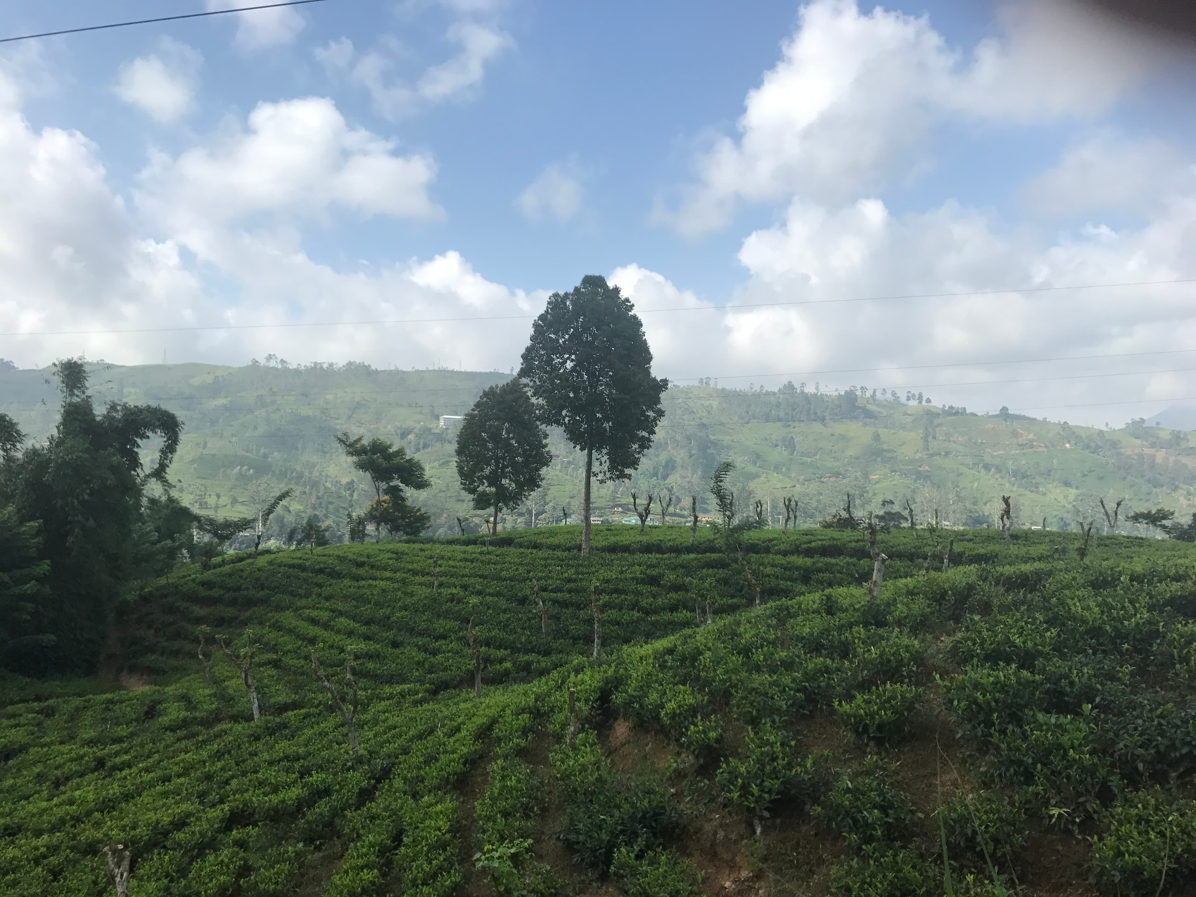Travel photo 2