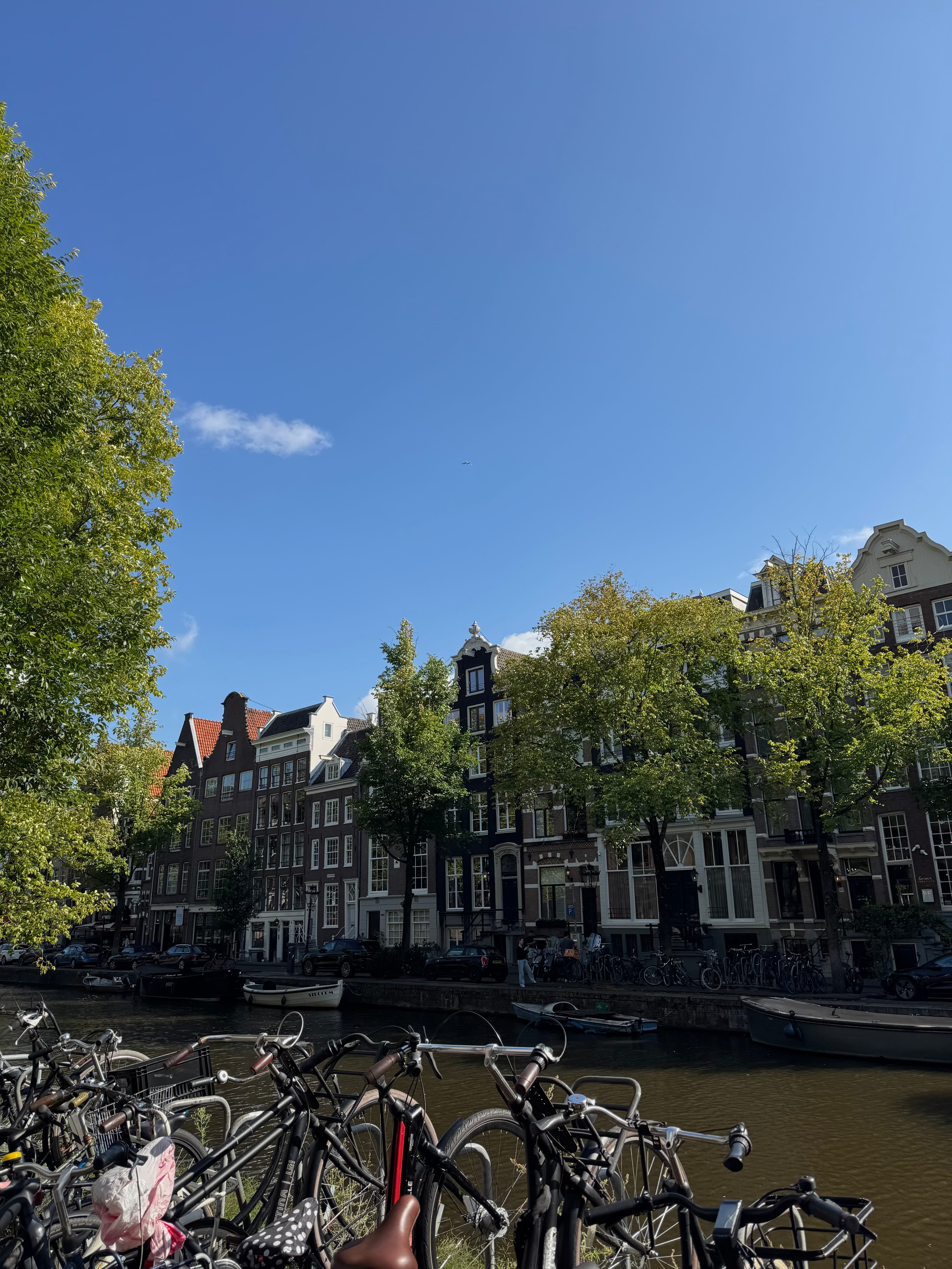 Travel photo 1