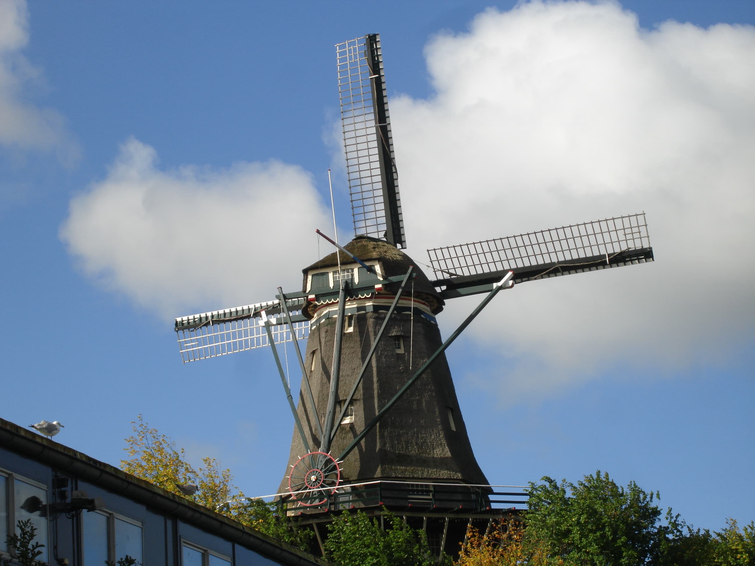 Travel photo 4