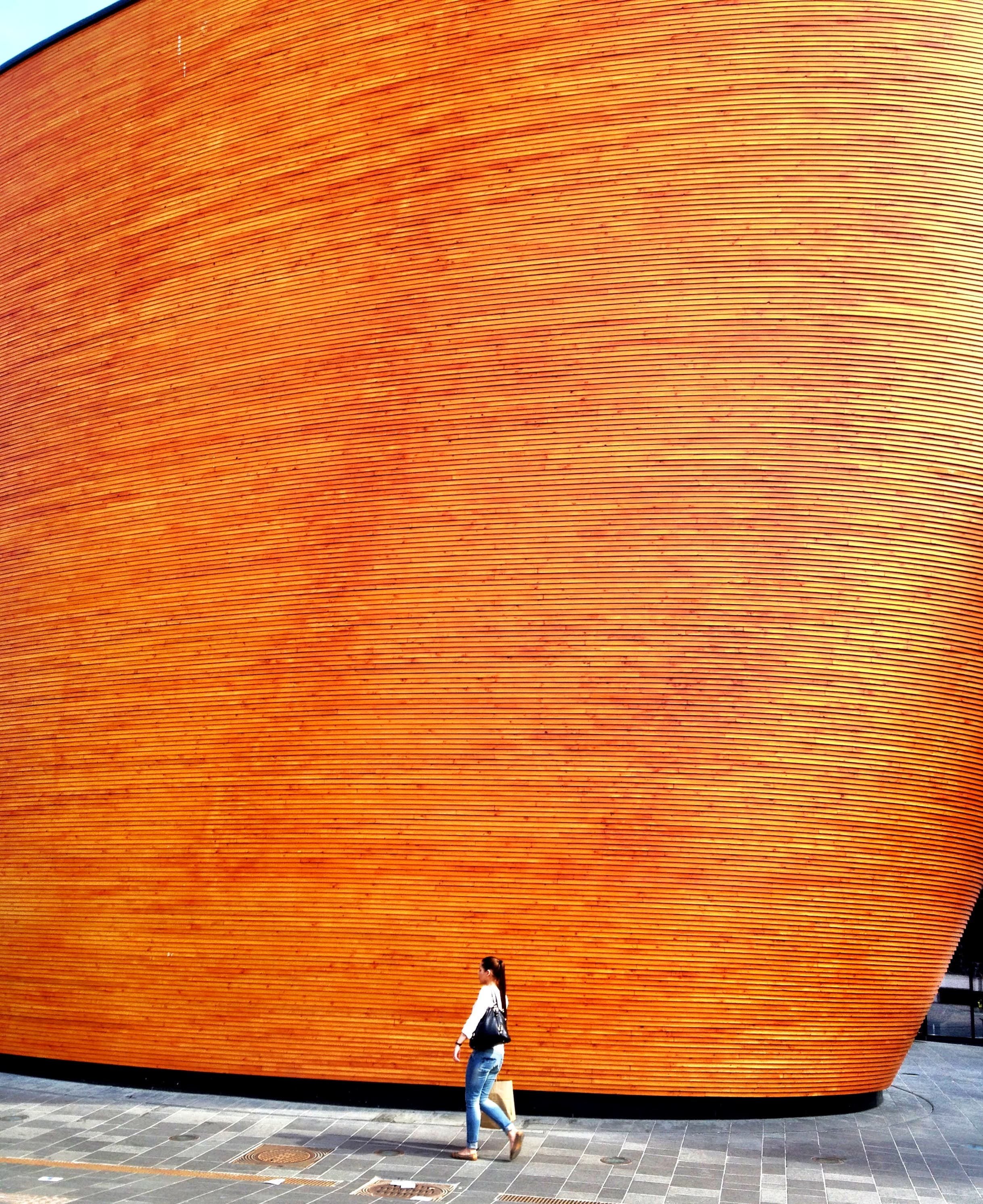 Travel photo 7