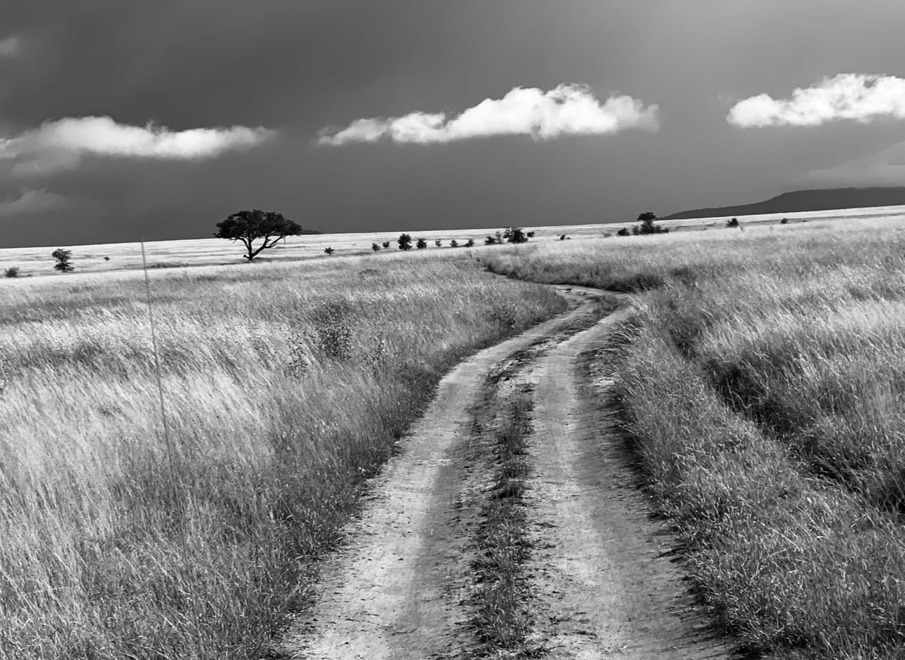 Travel photo 3