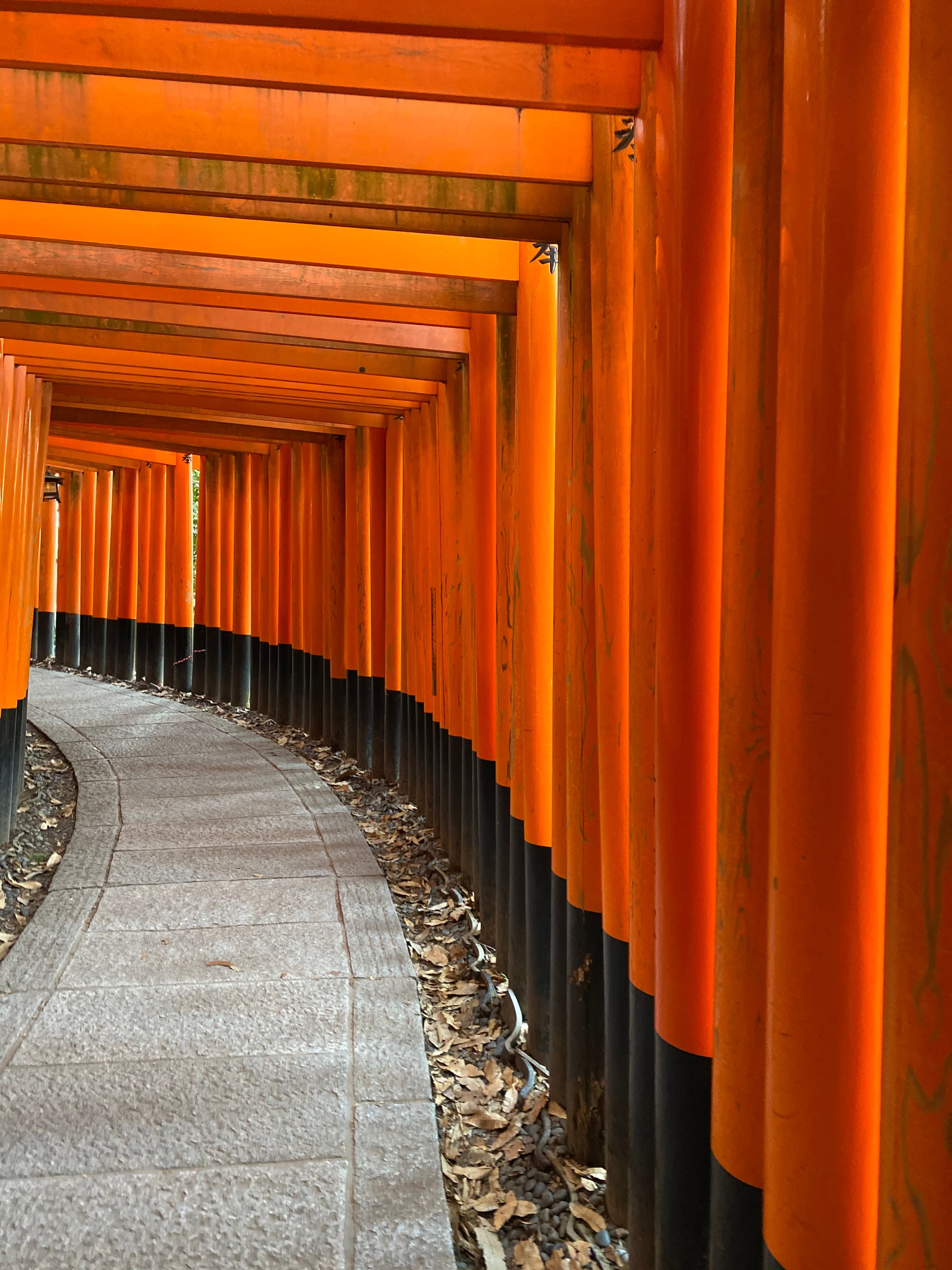Travel photo 7