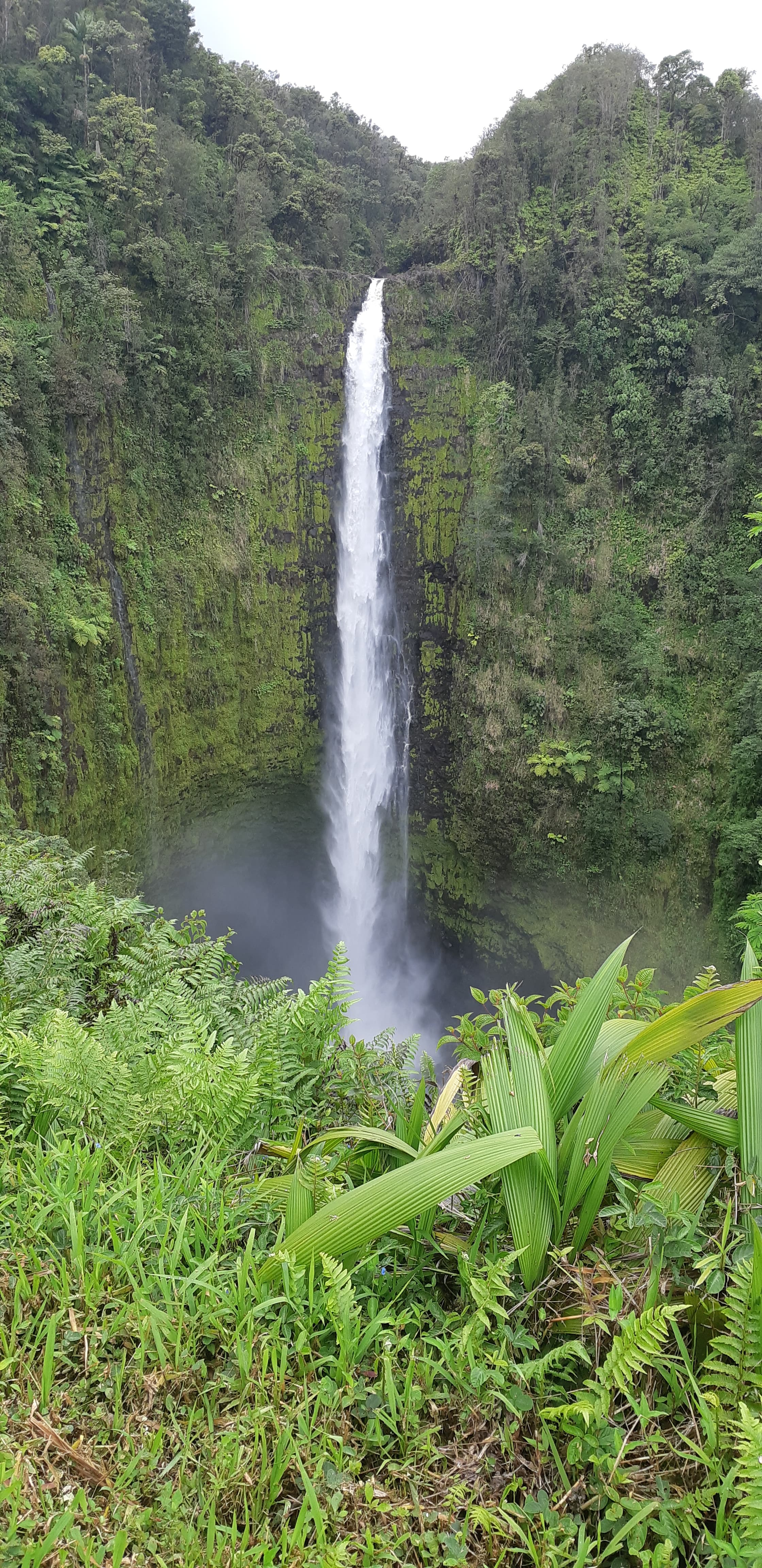 Travel photo 1