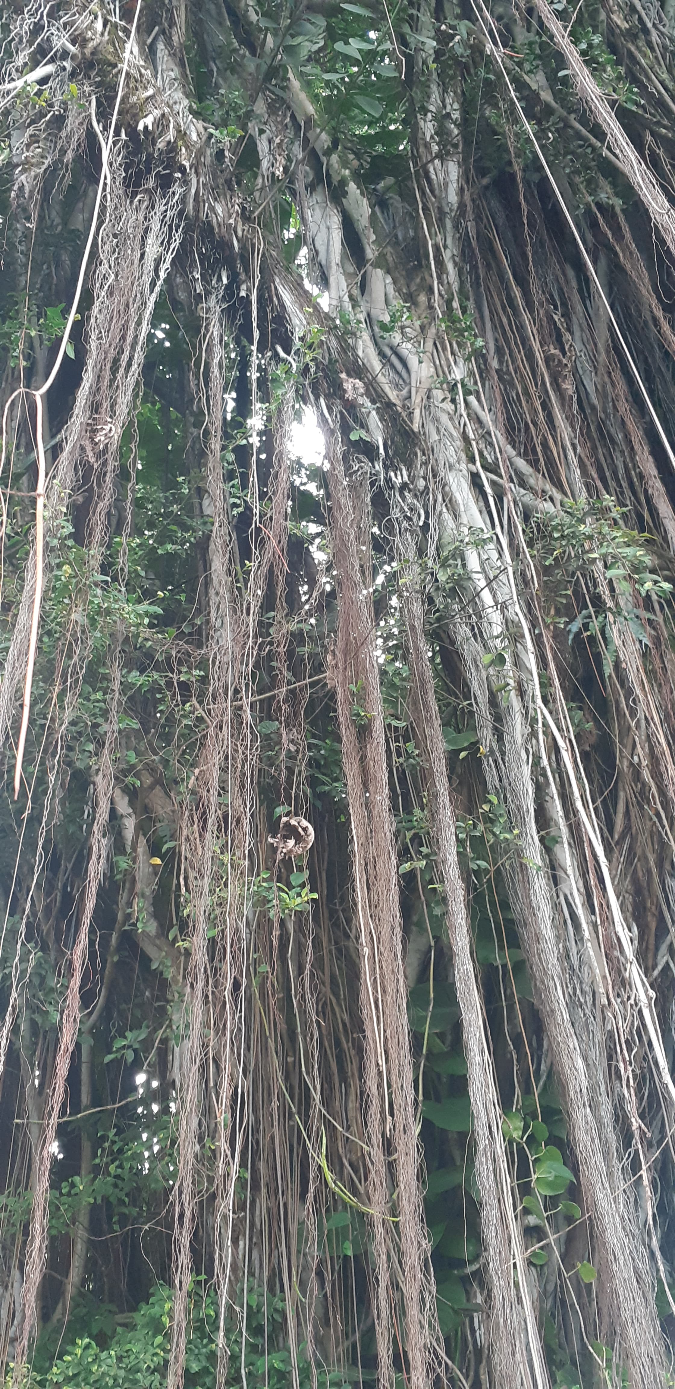 Travel photo 4