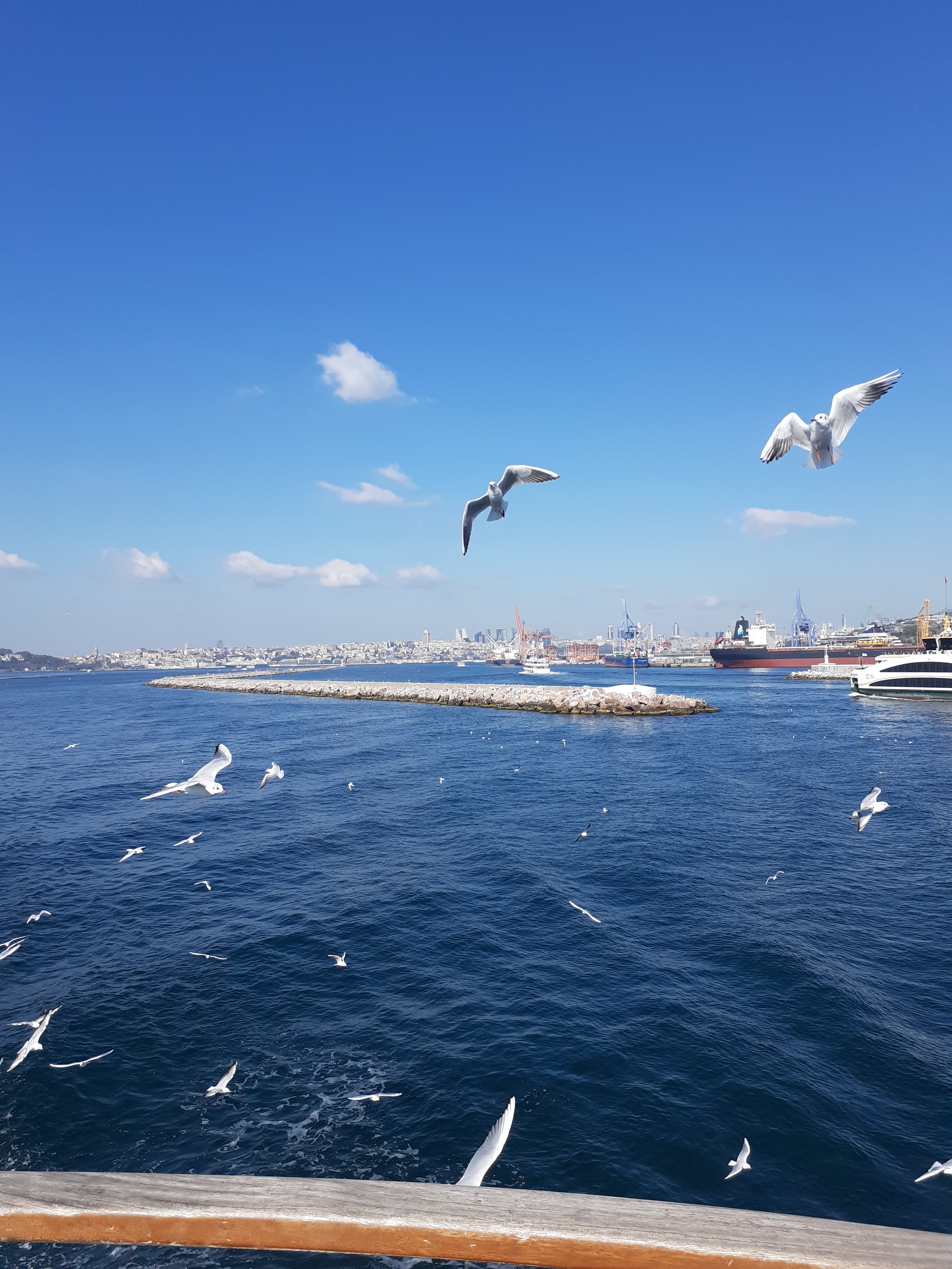 Travel photo 5