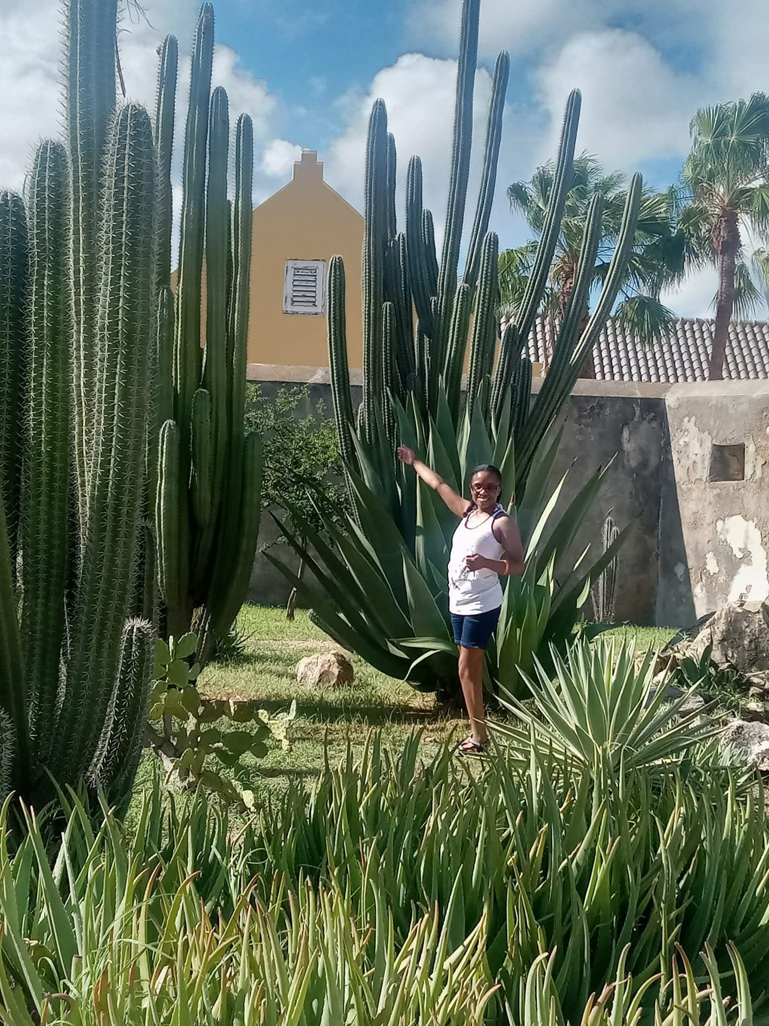 Travel photo 5