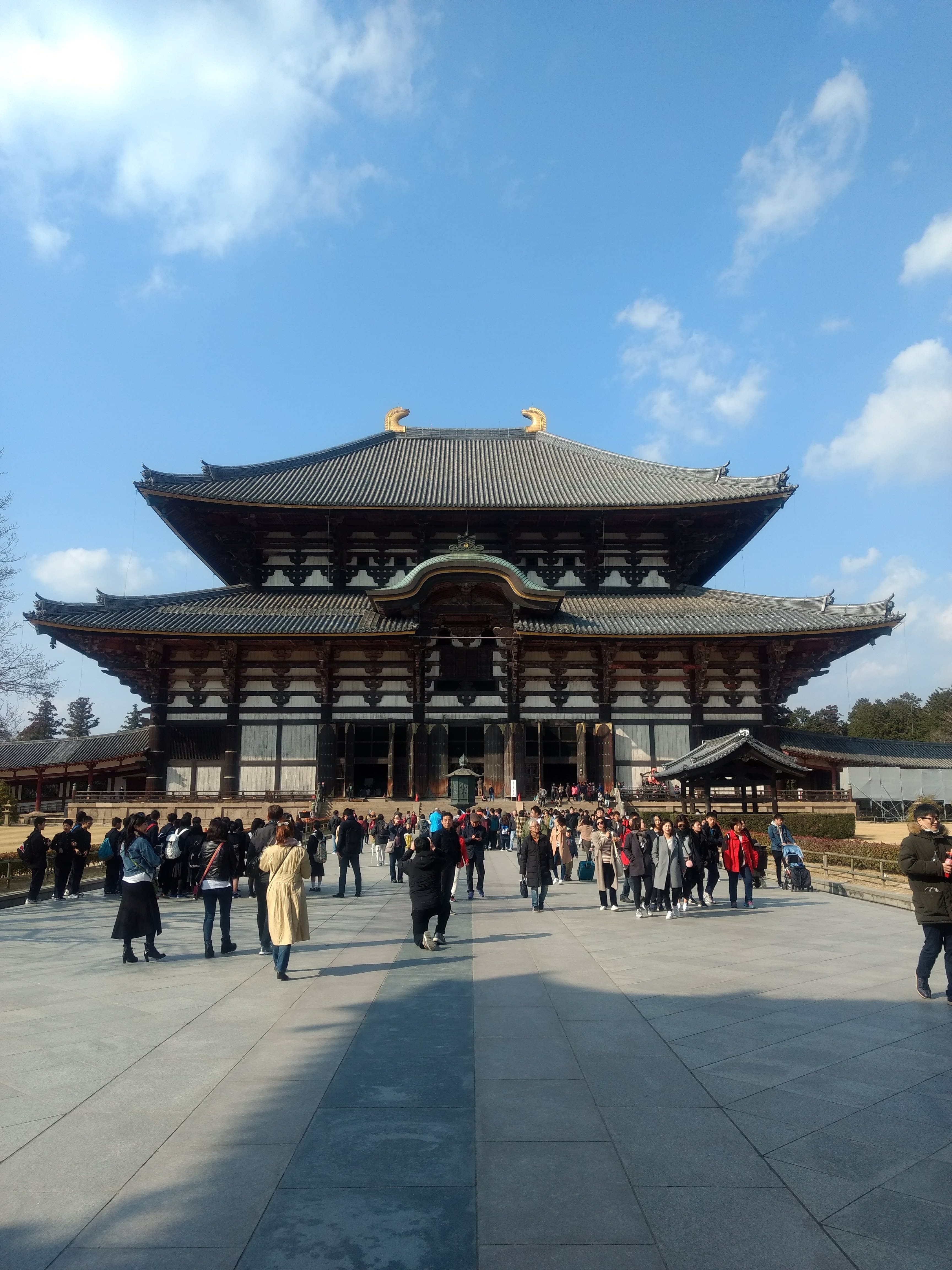 Travel photo 1