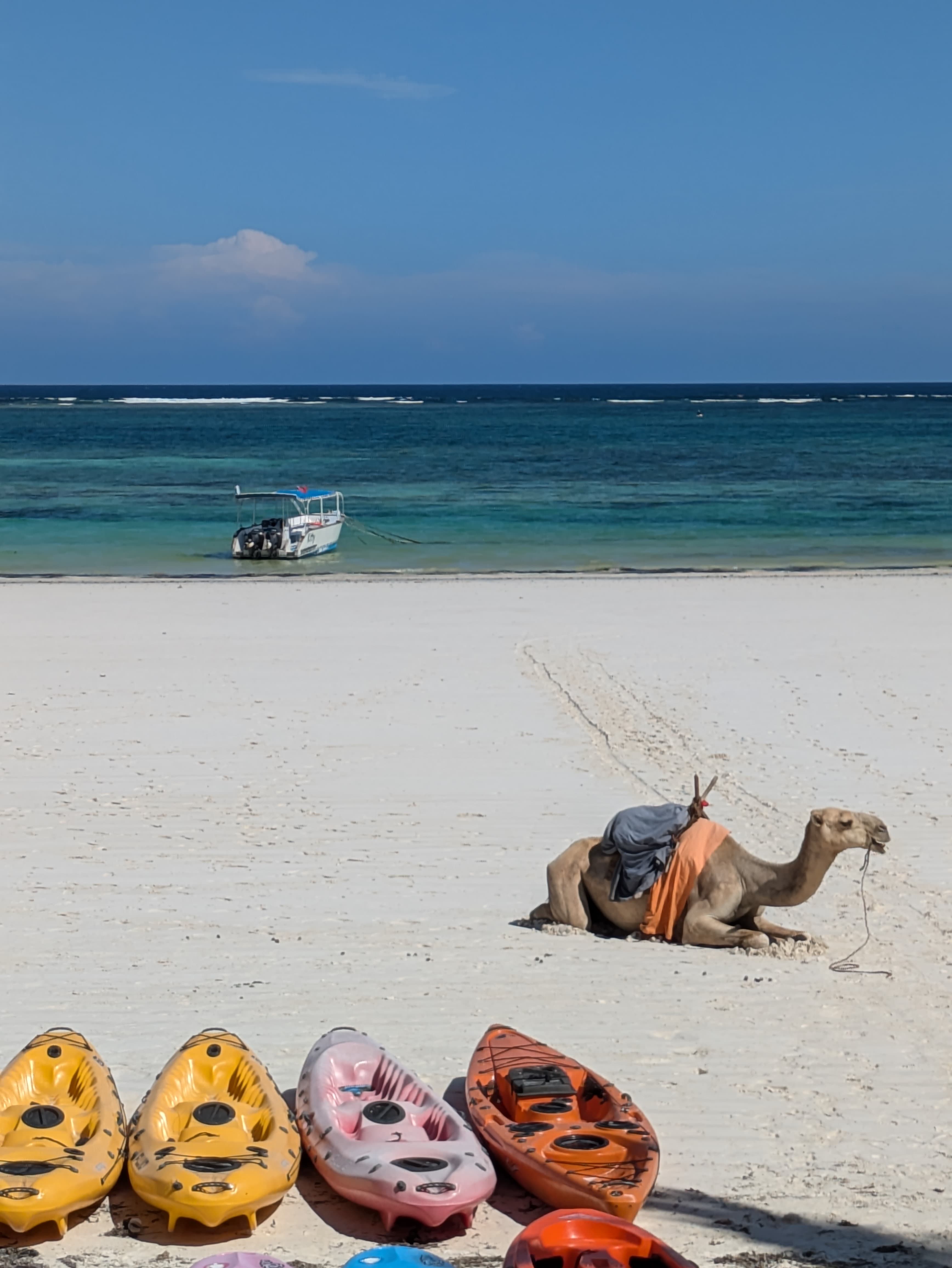 Travel photo 2