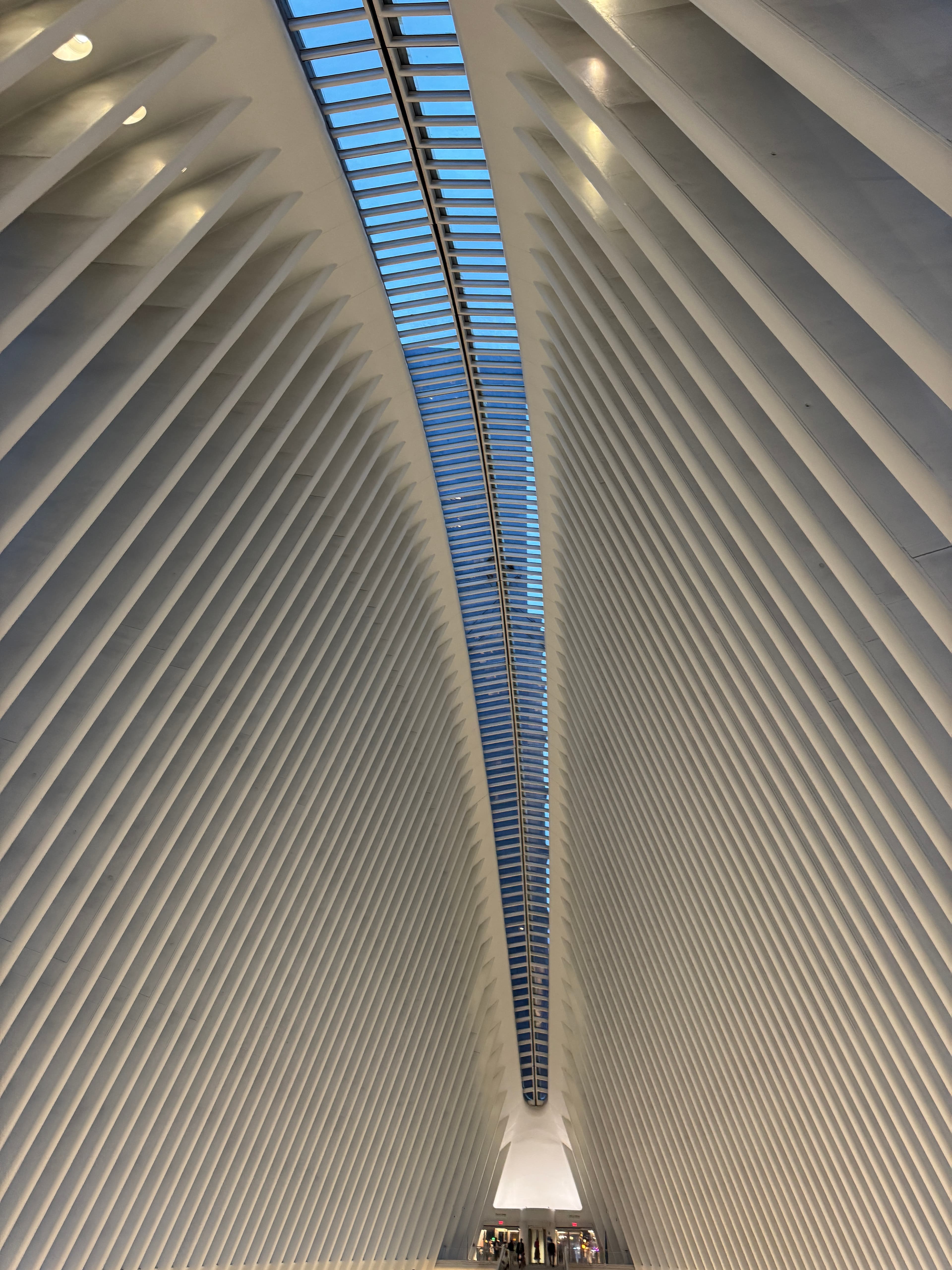 Travel photo 5