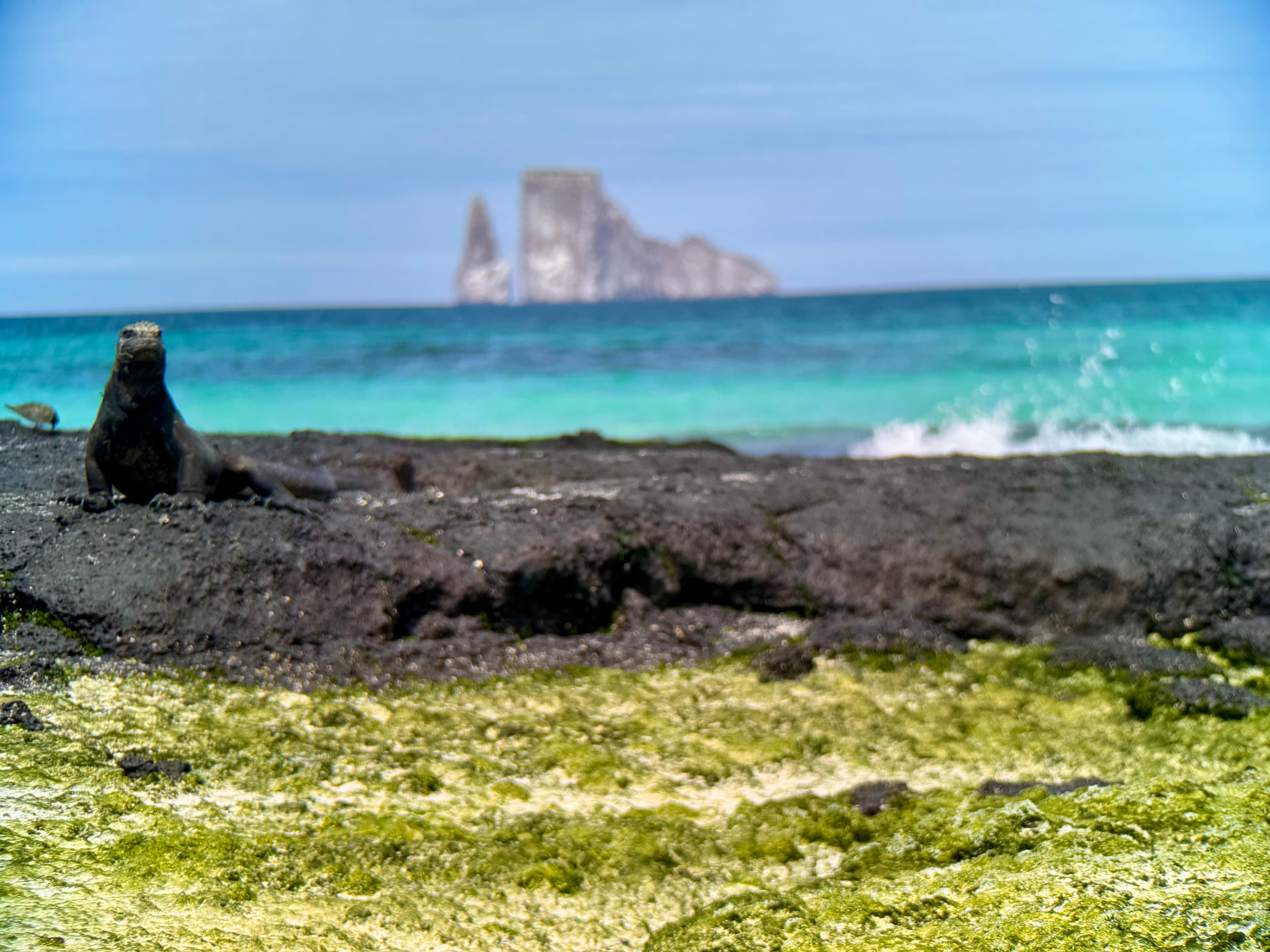 Travel photo 3