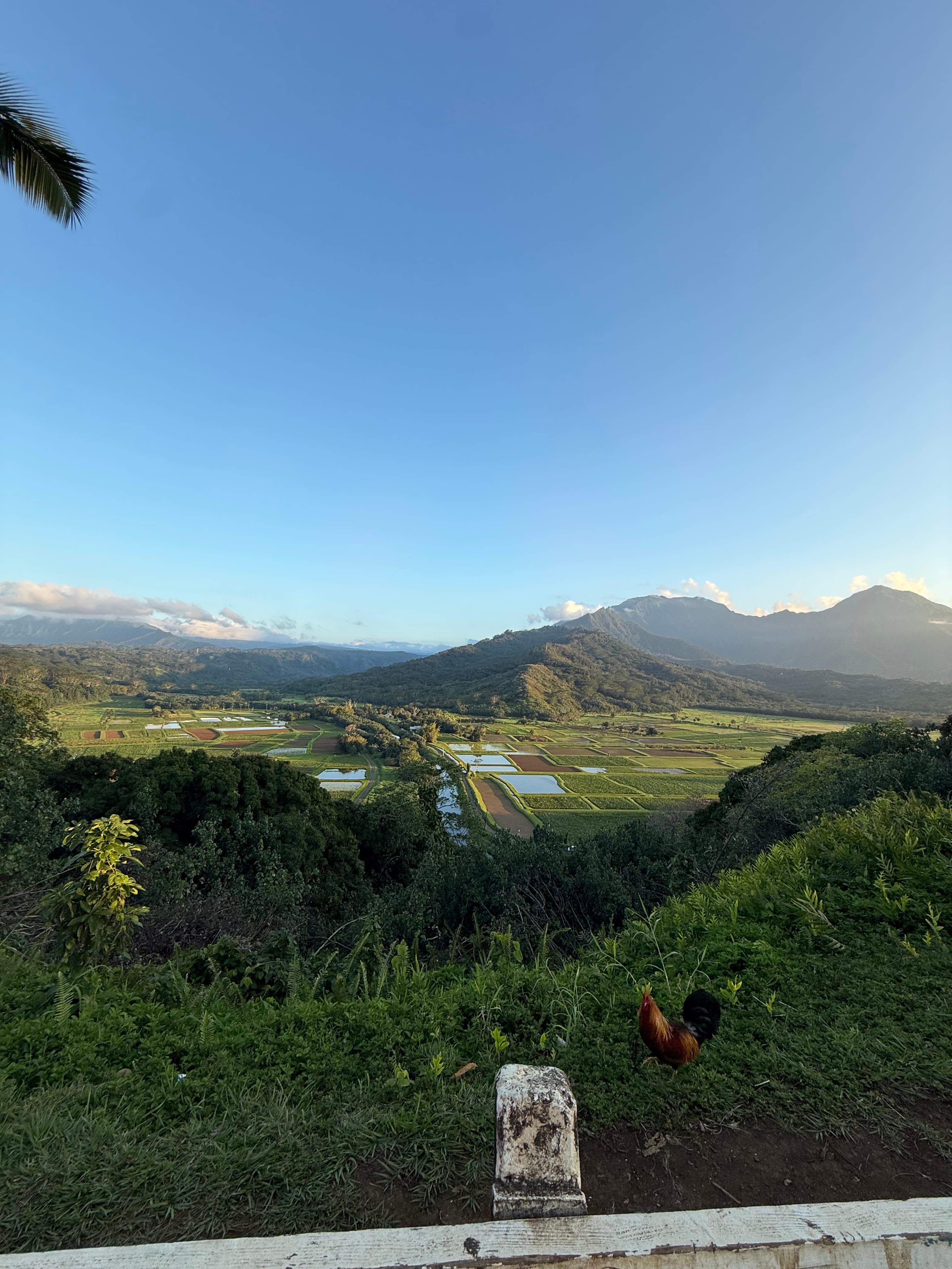 Travel photo 4