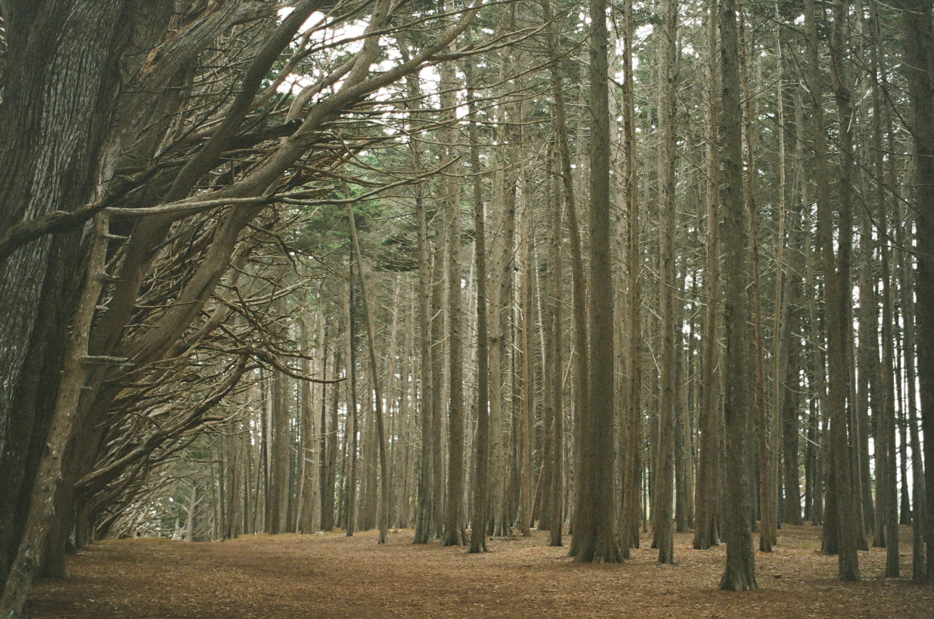 Travel photo 4