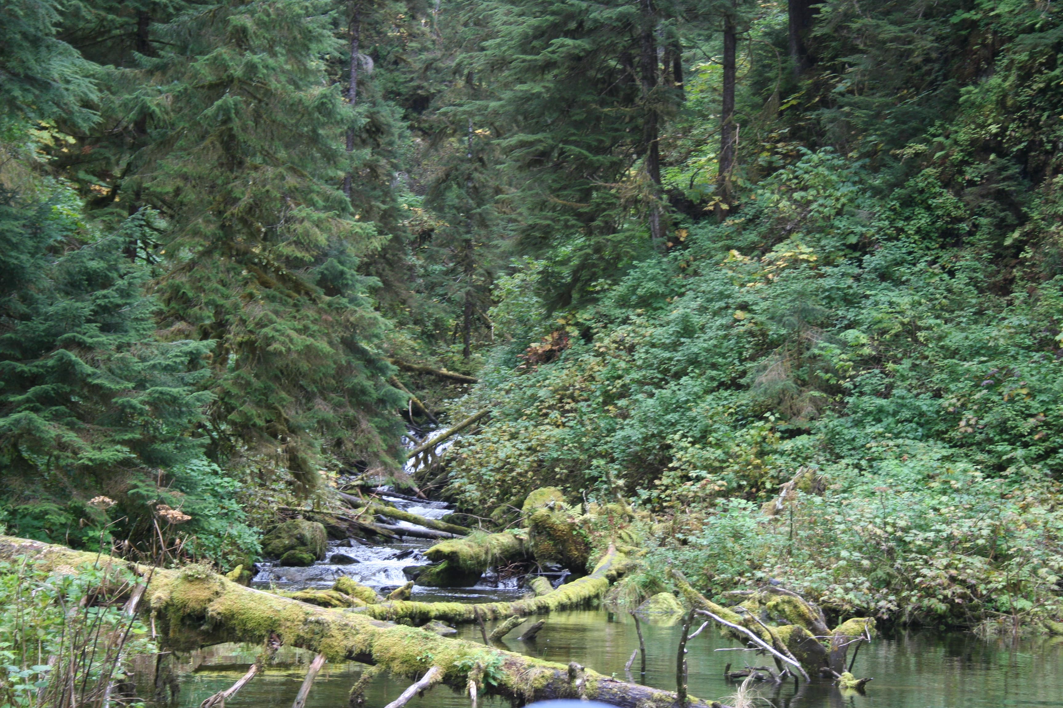 Travel photo 6