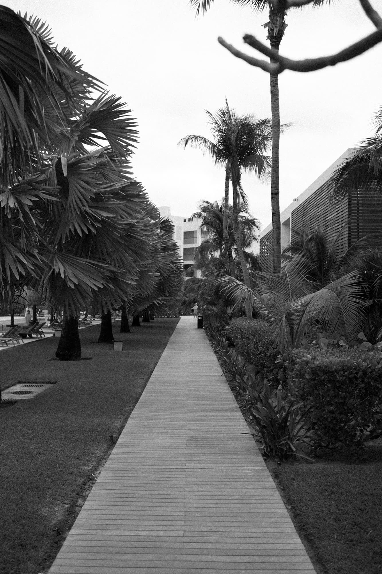 Travel photo 1