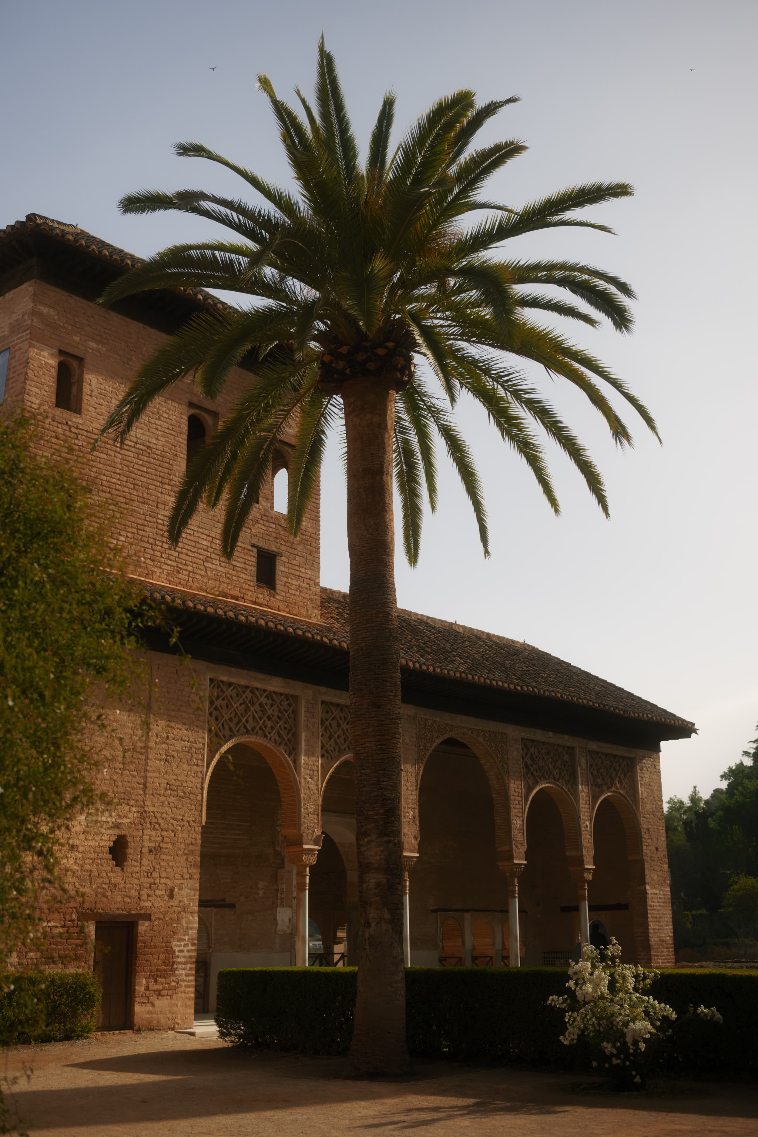 Travel photo 9