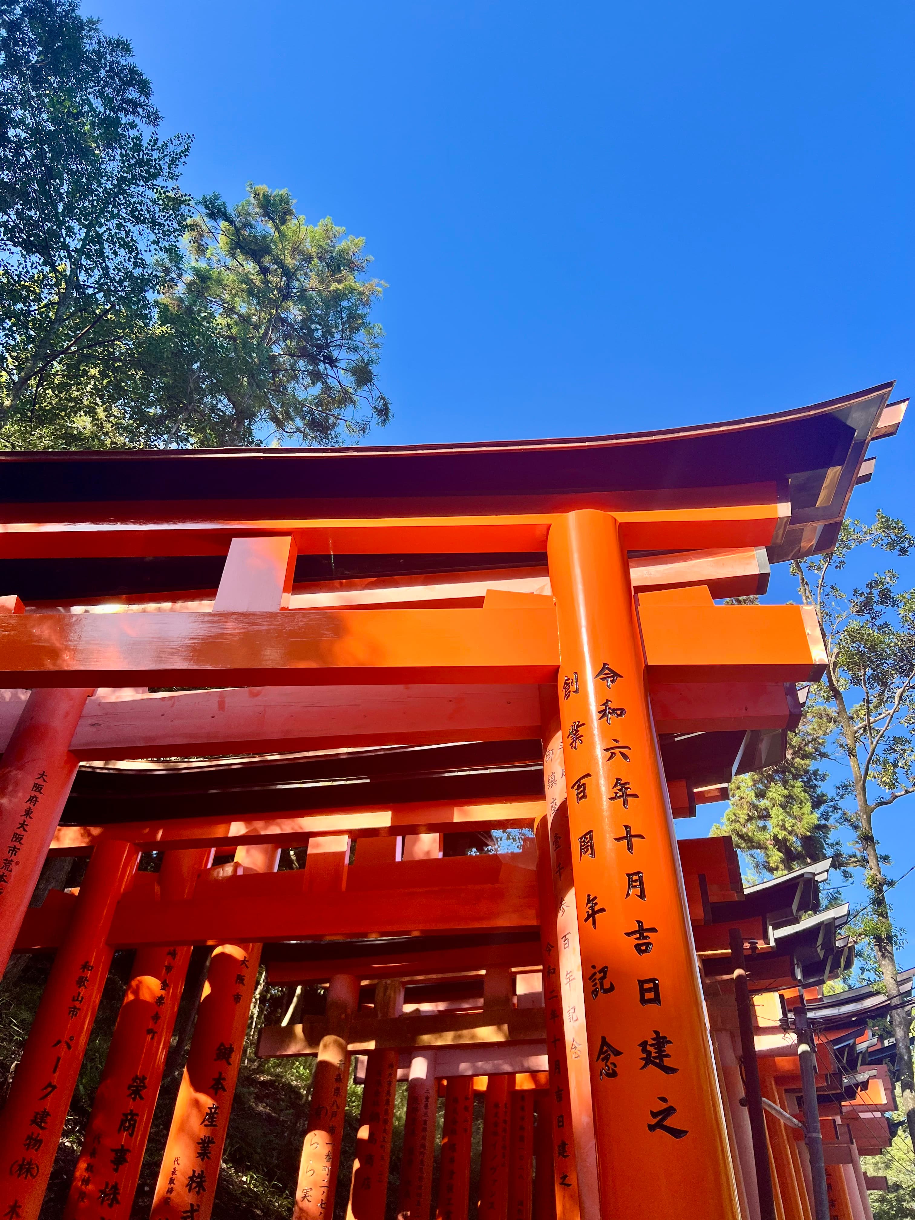 Travel photo 3
