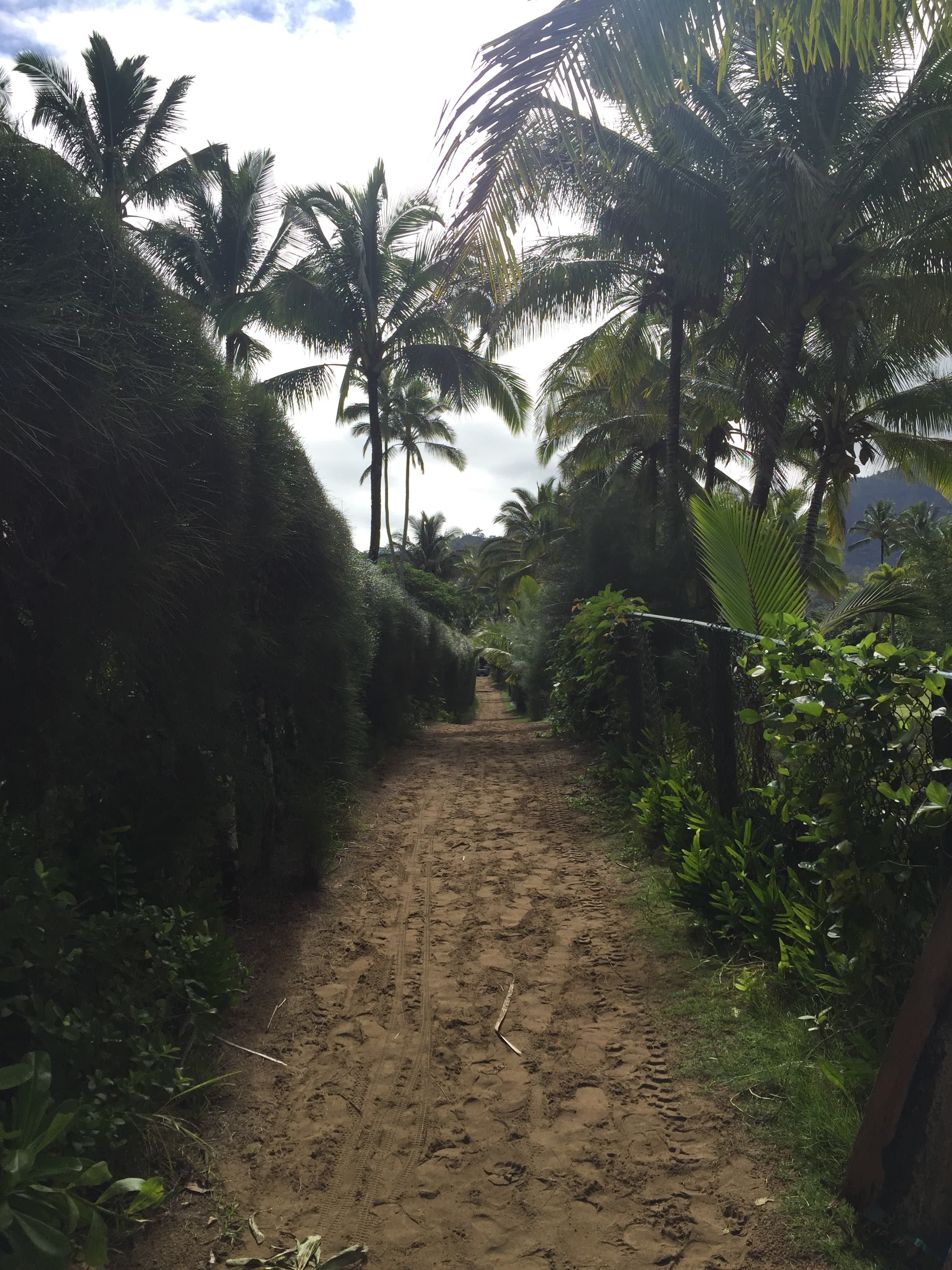 Travel photo 3