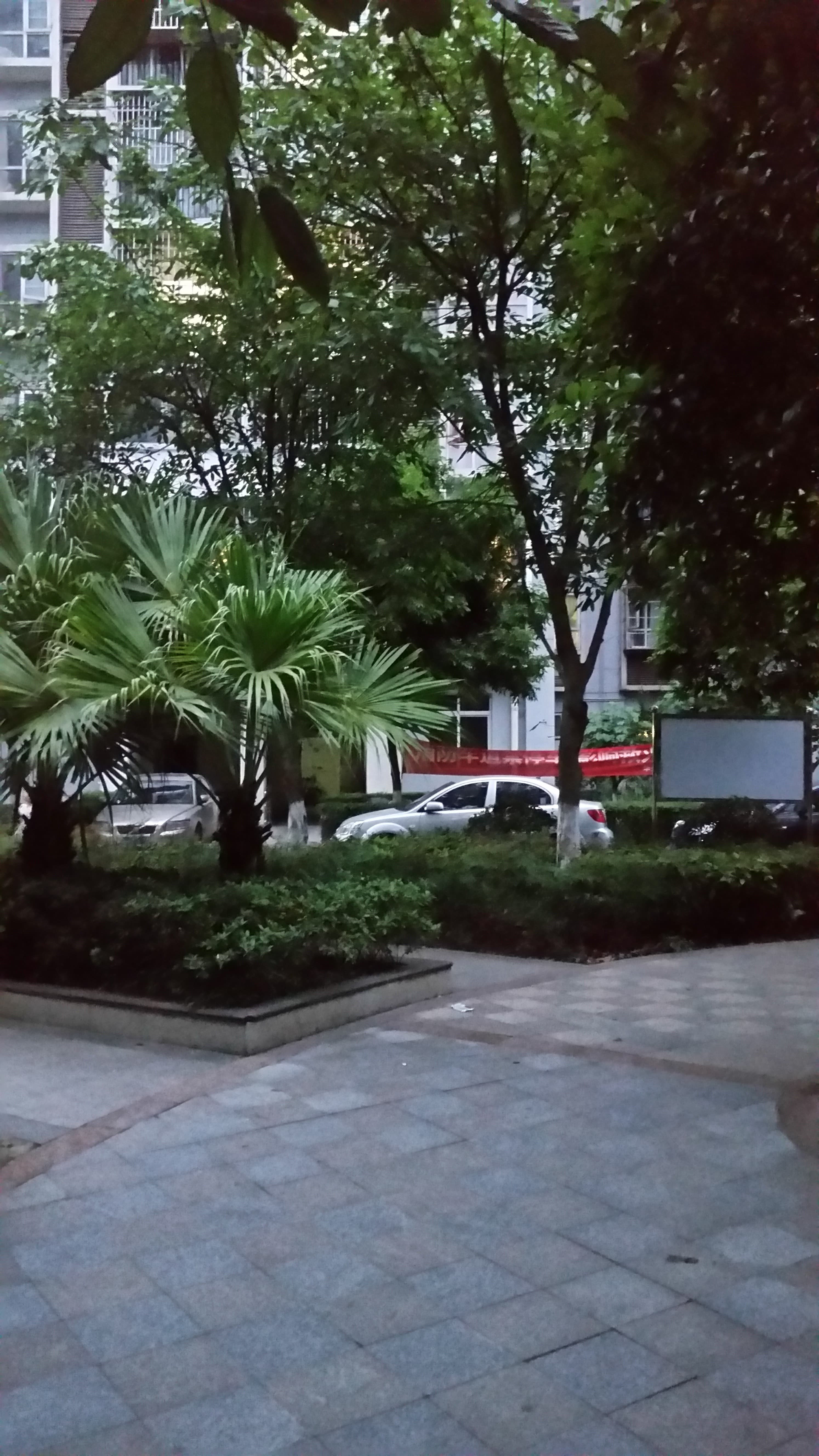 Travel photo 1