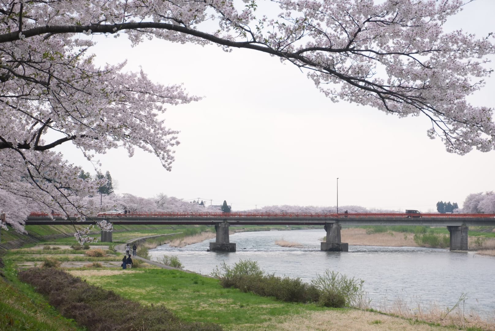 Travel photo 6