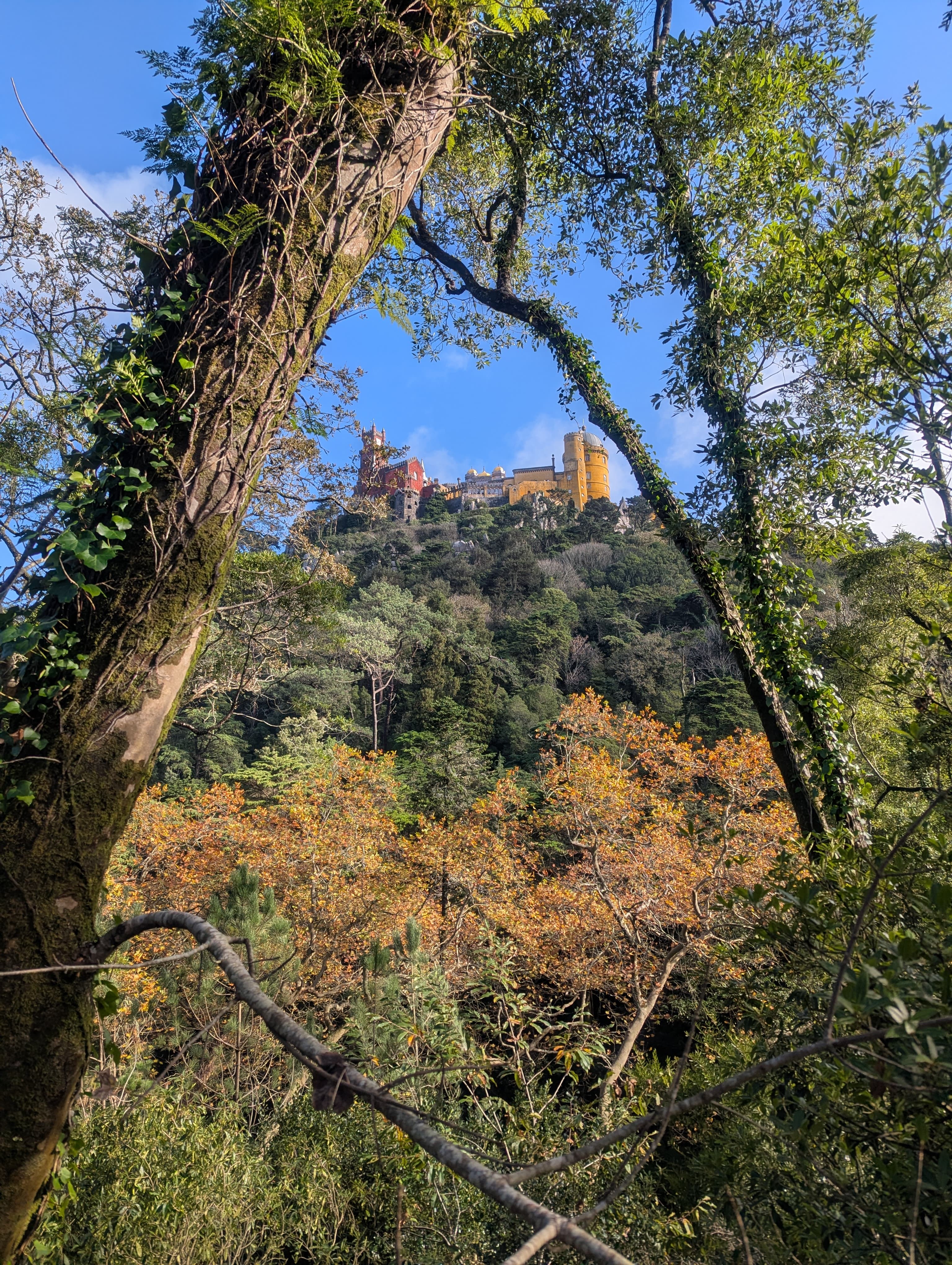 Travel photo 7