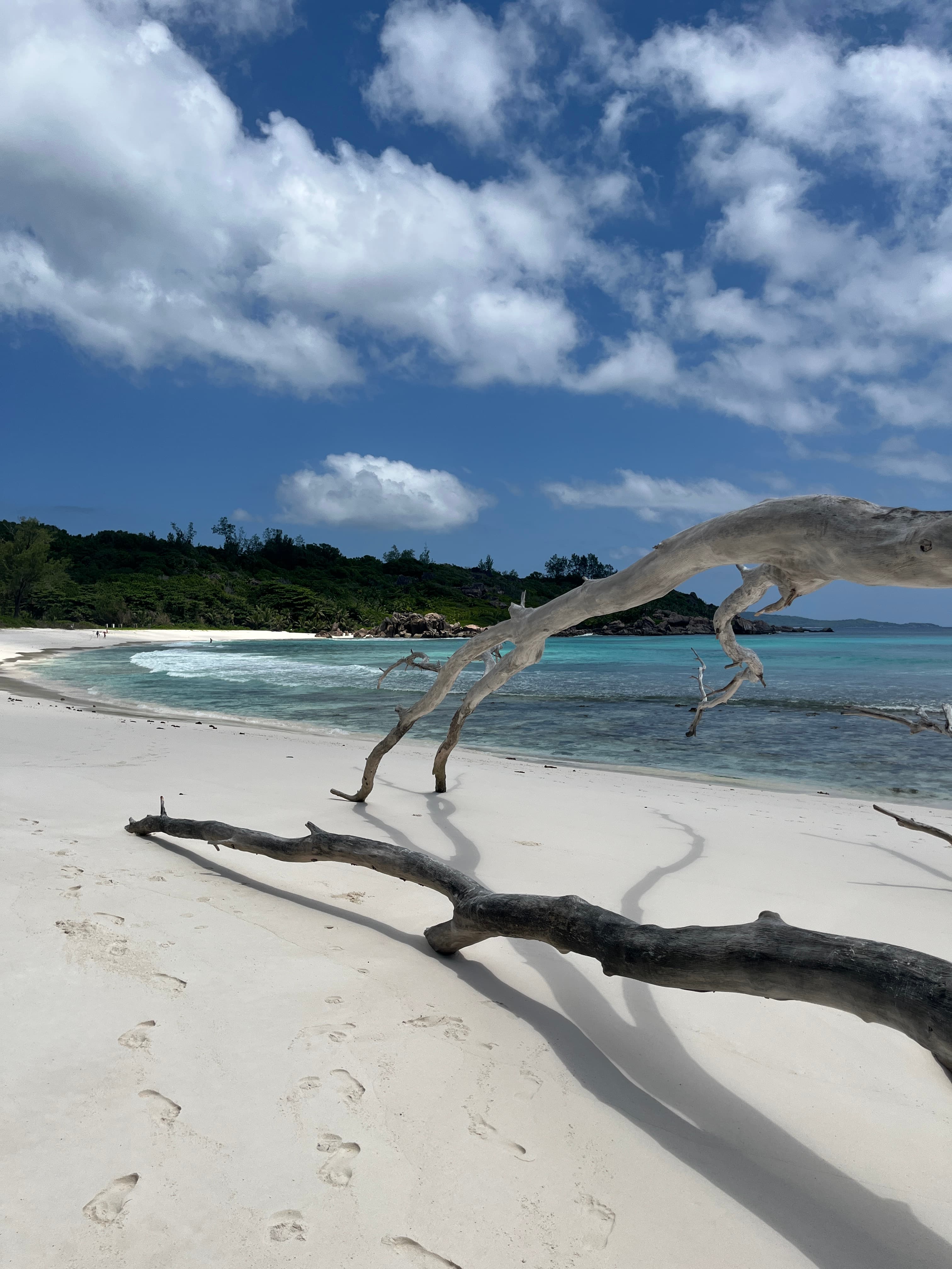 Travel photo 6