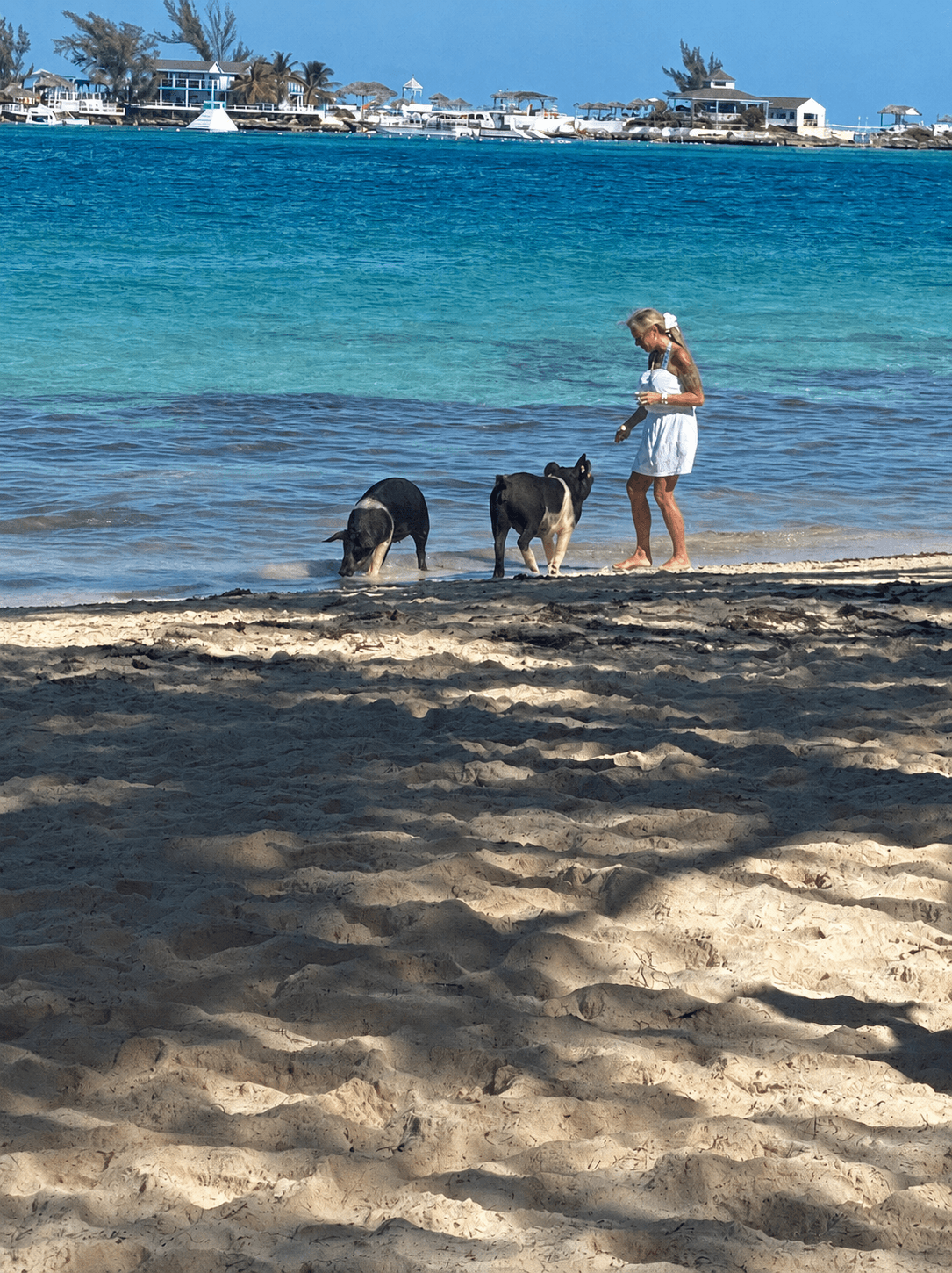 Travel photo 8