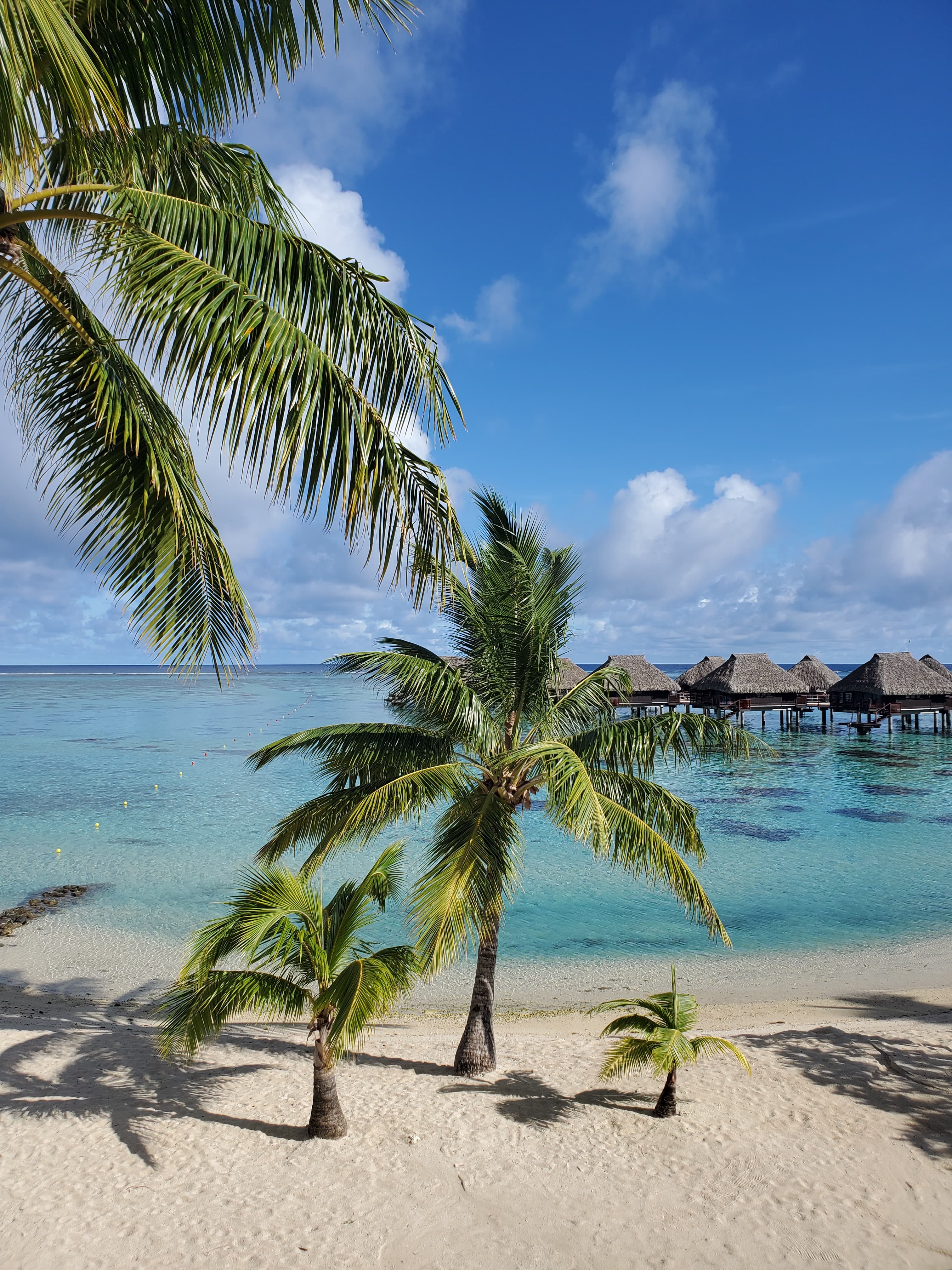 Travel photo 4