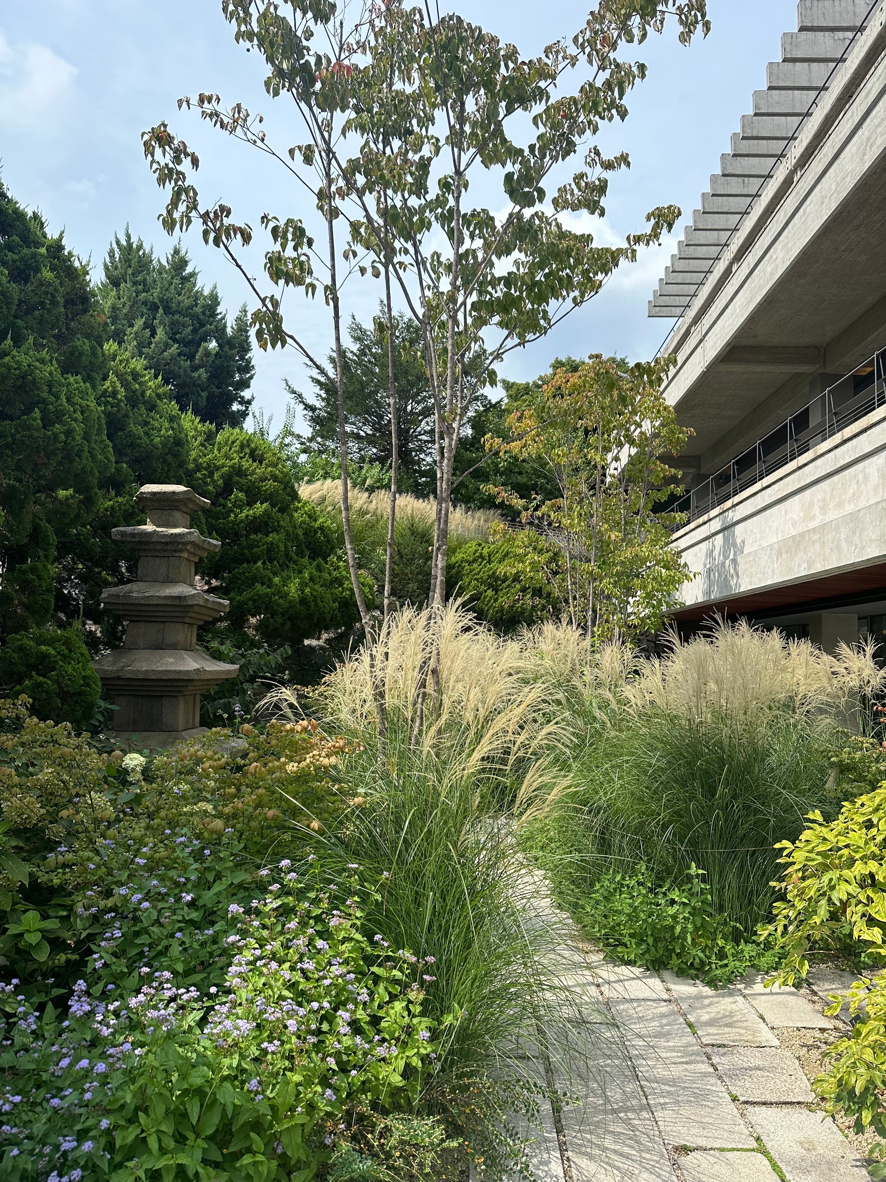 Travel photo 5