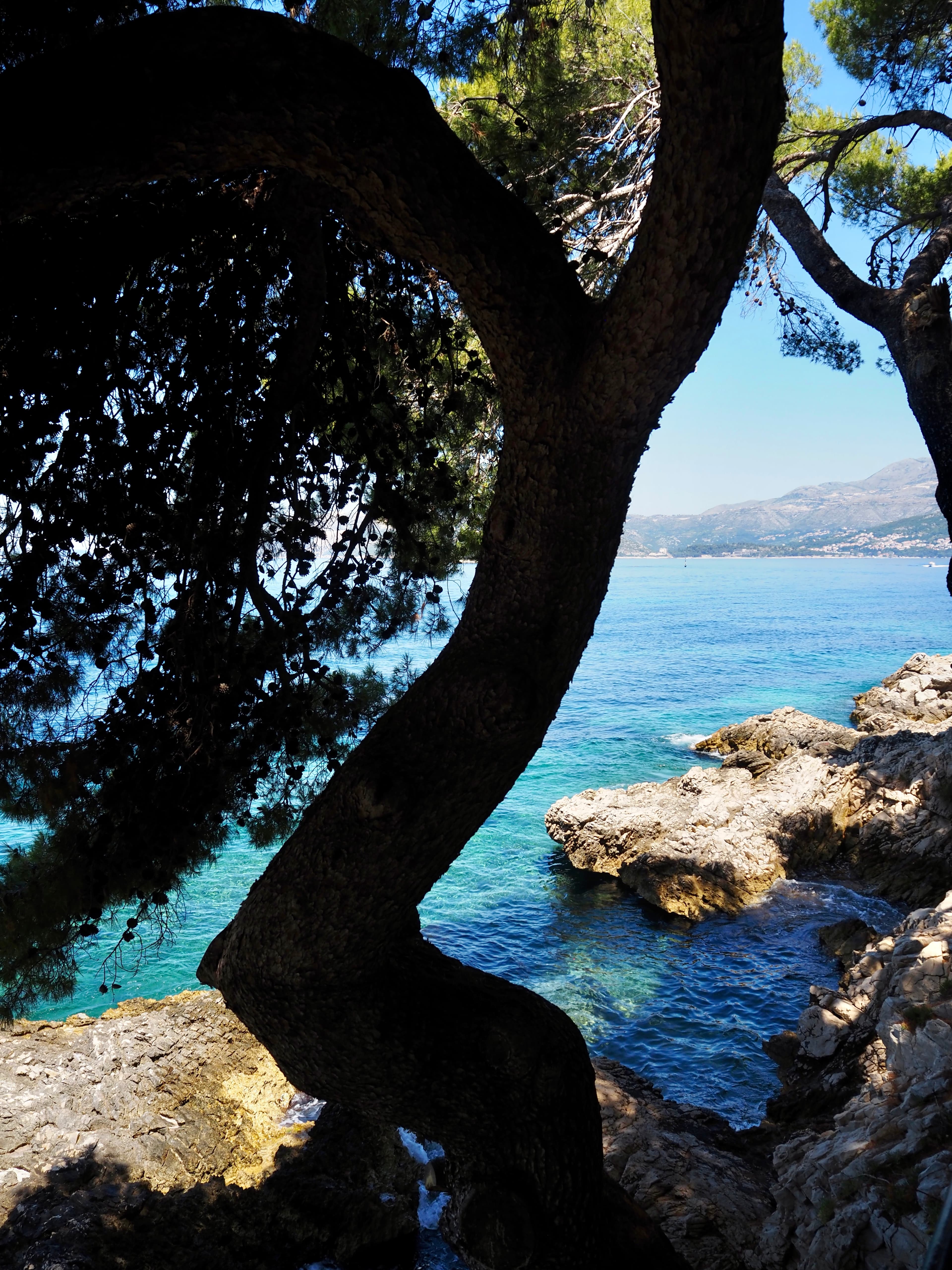 Travel photo 2