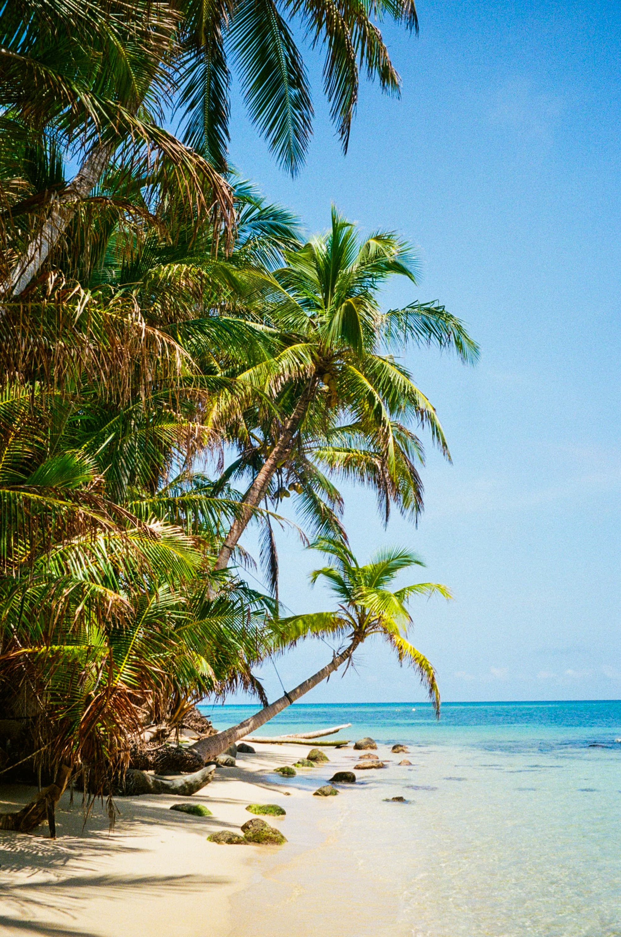 Travel photo 5