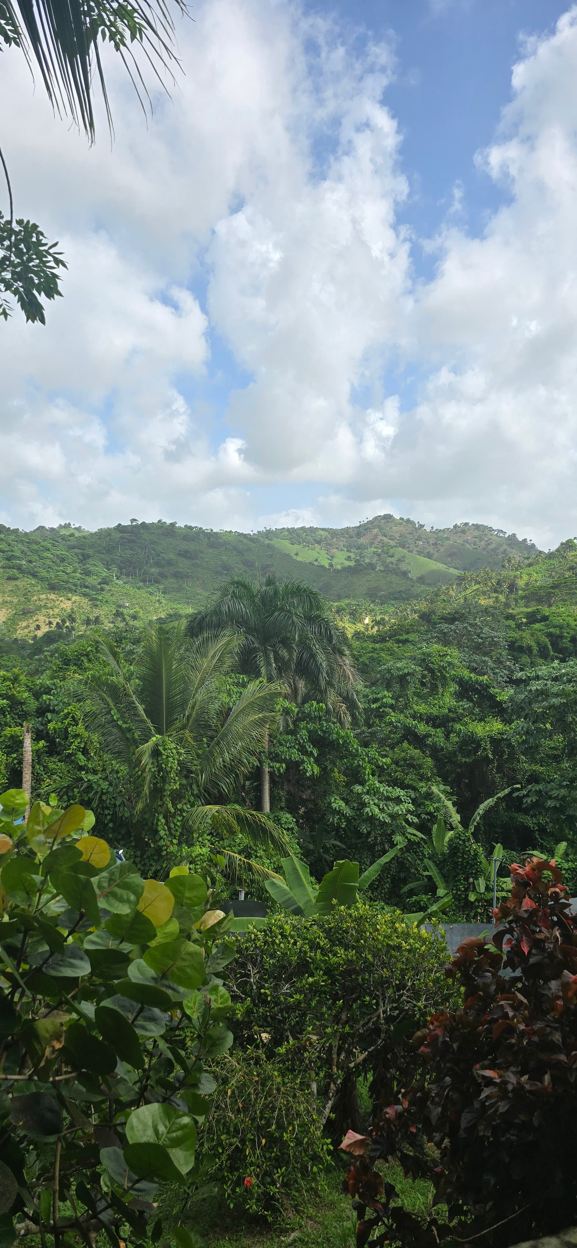 Travel photo 4