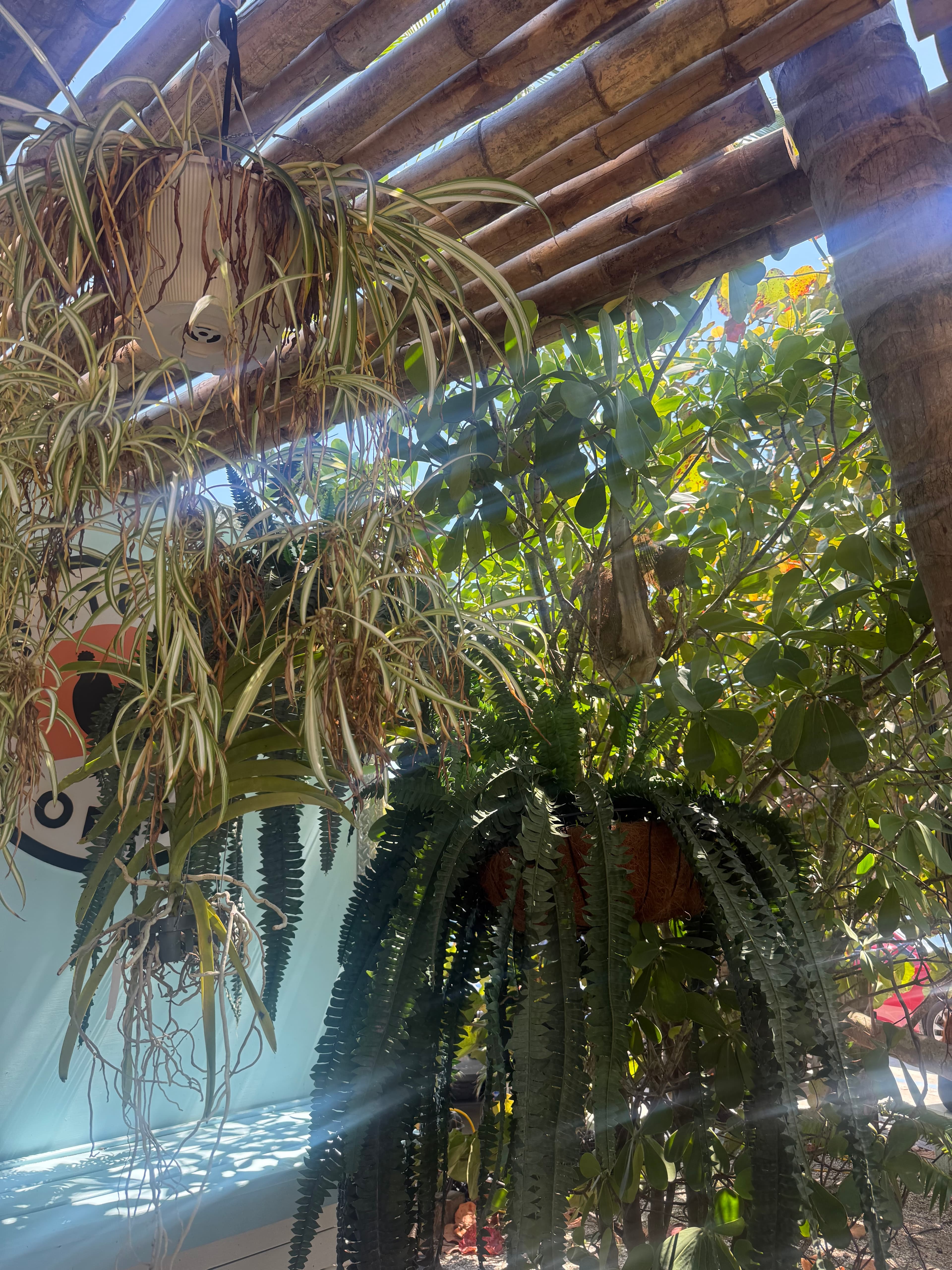 Travel photo 6