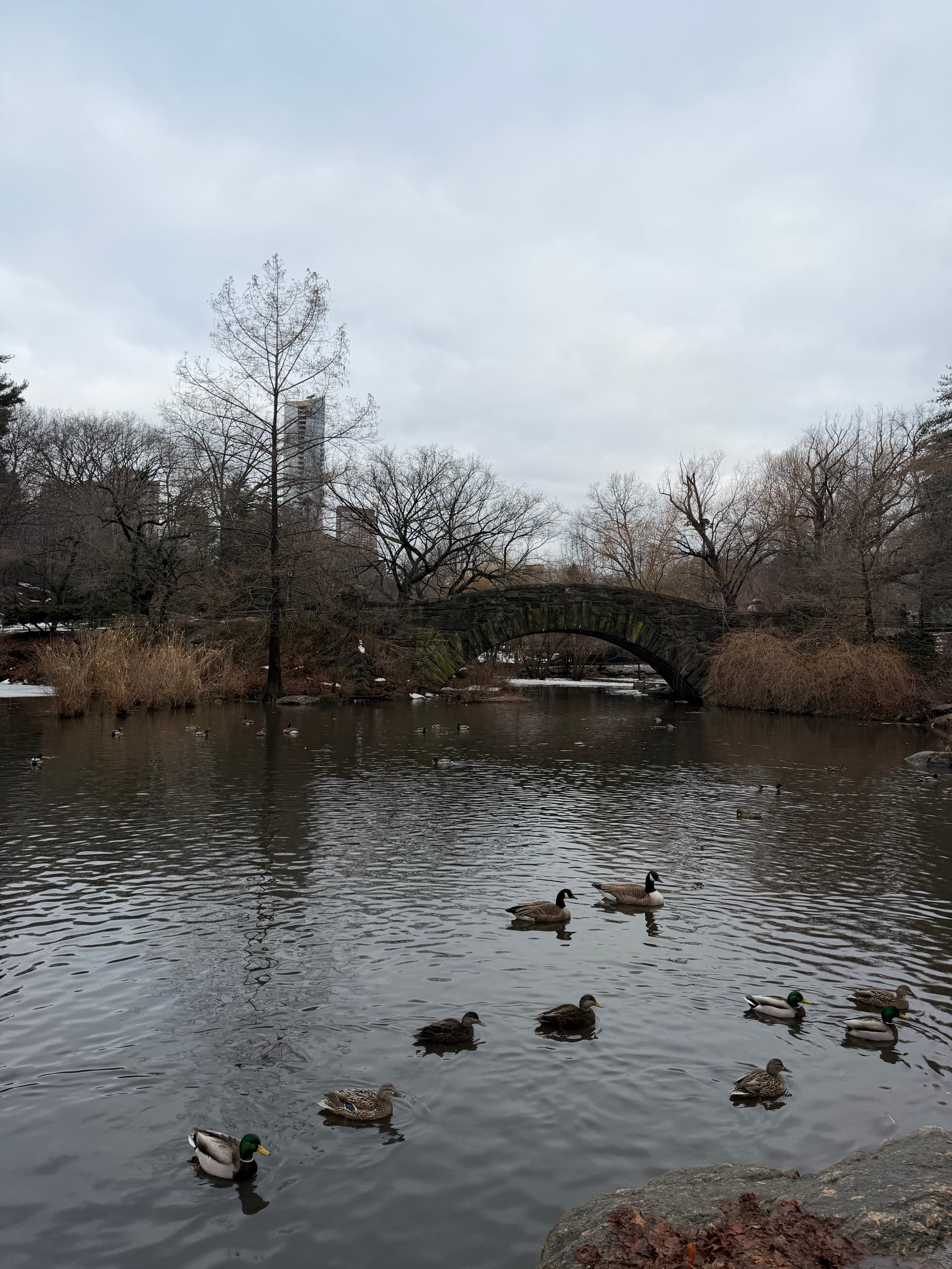 Travel photo 9