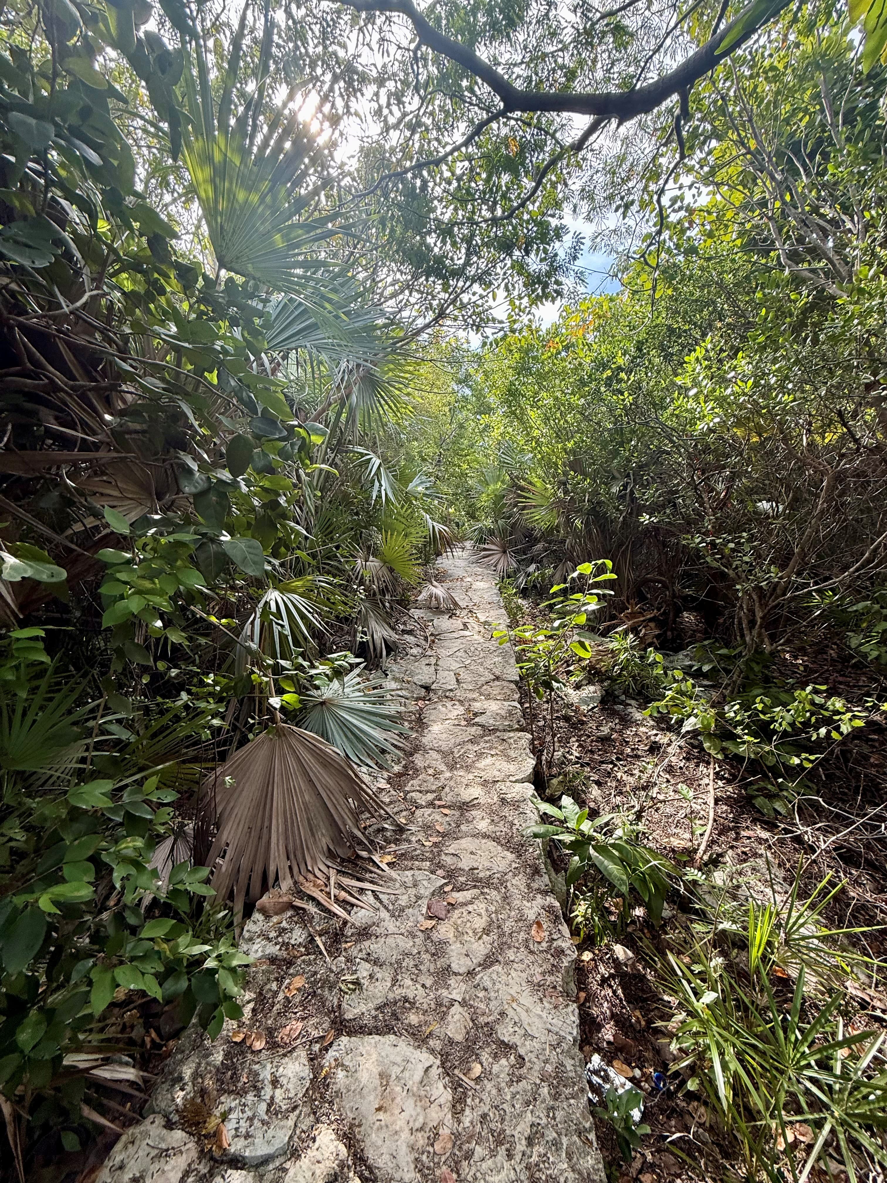 Travel photo 1