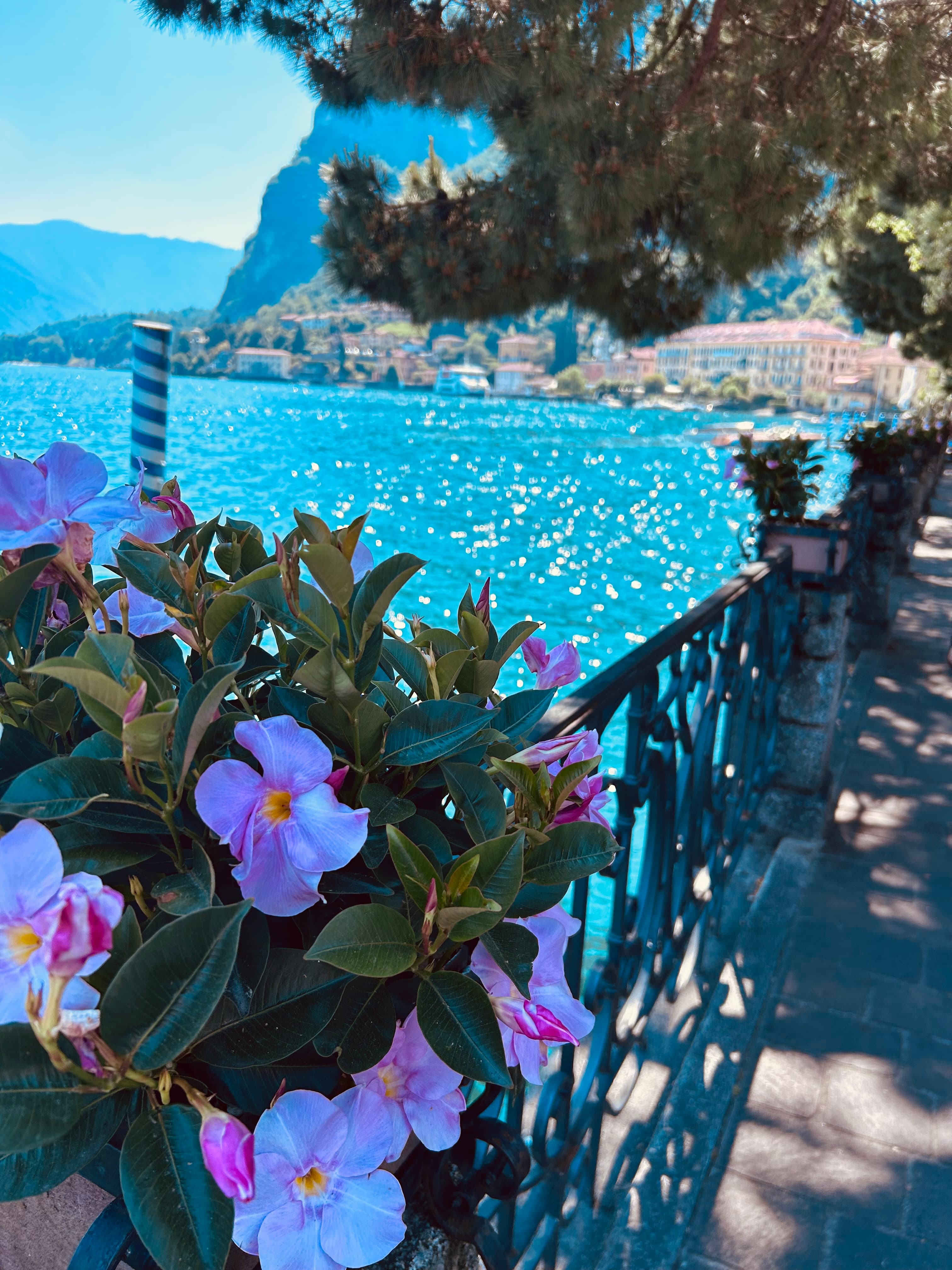 Travel photo 4