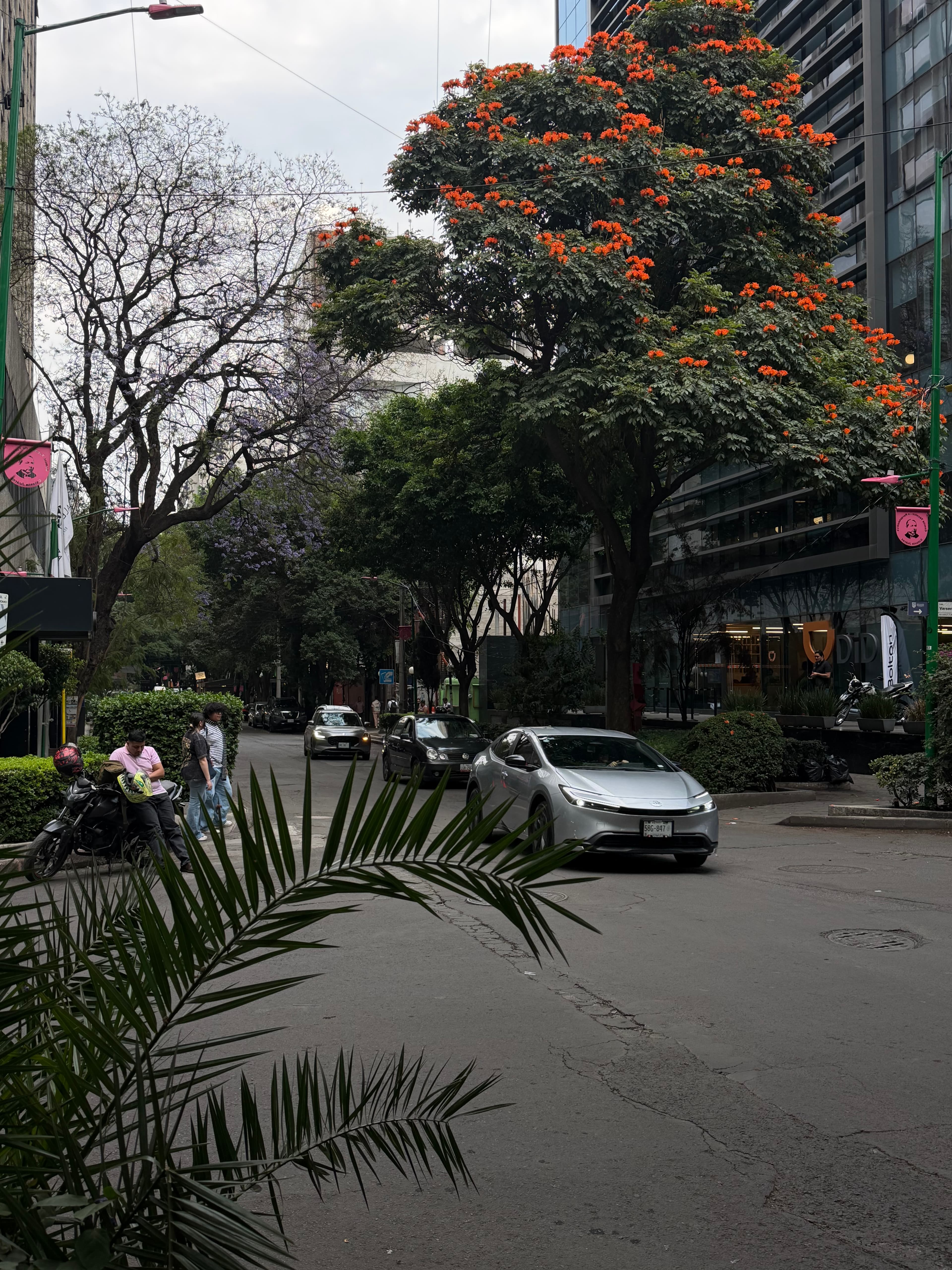 Travel photo 4