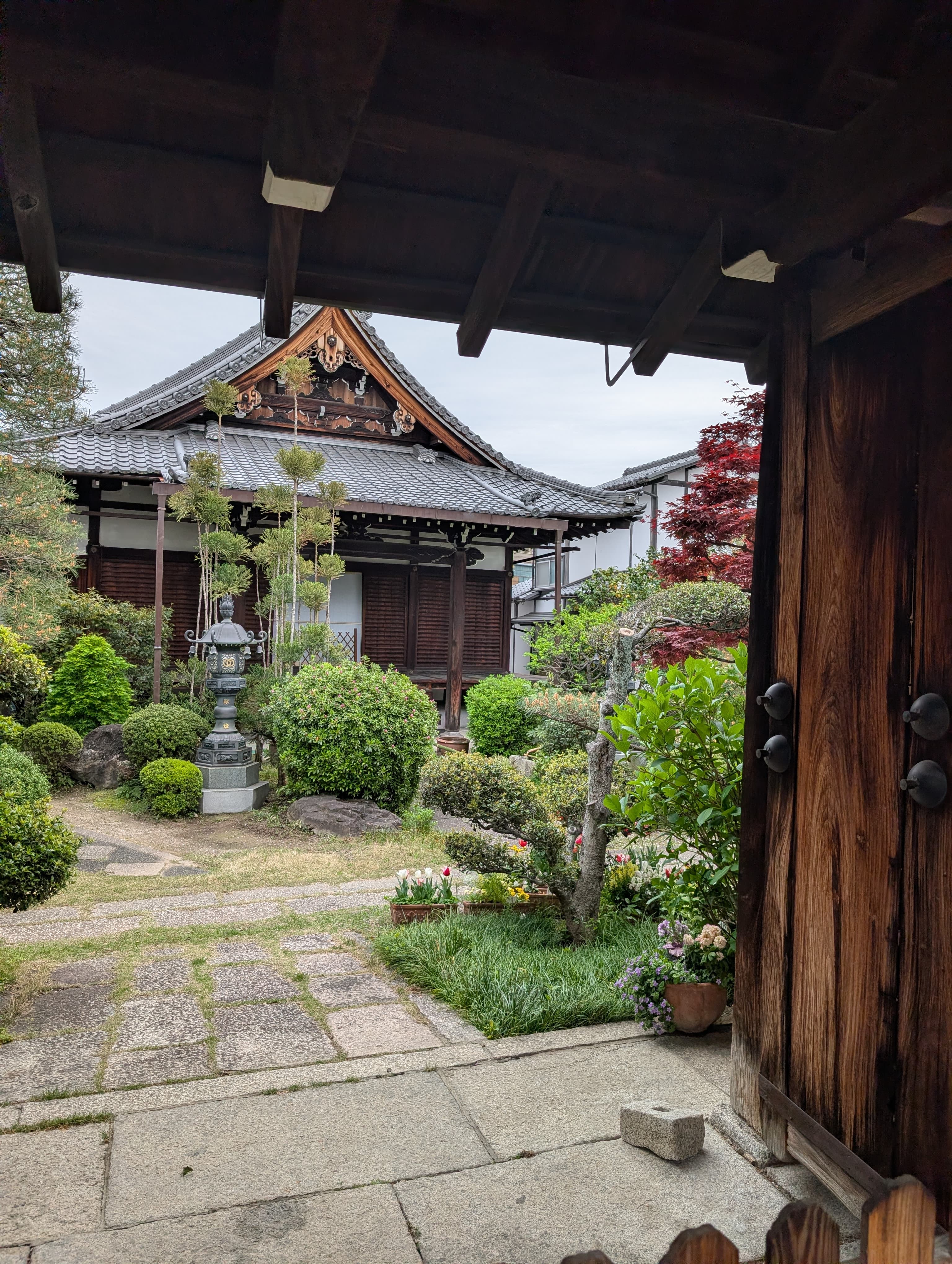 Travel photo 5